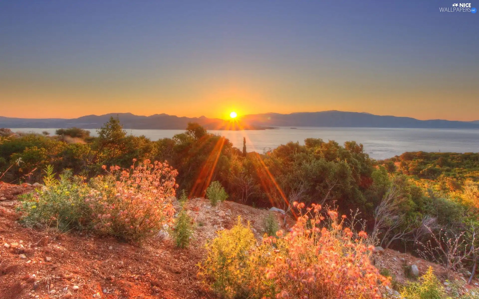 Mountains, rays of the Sun, VEGETATION, lake