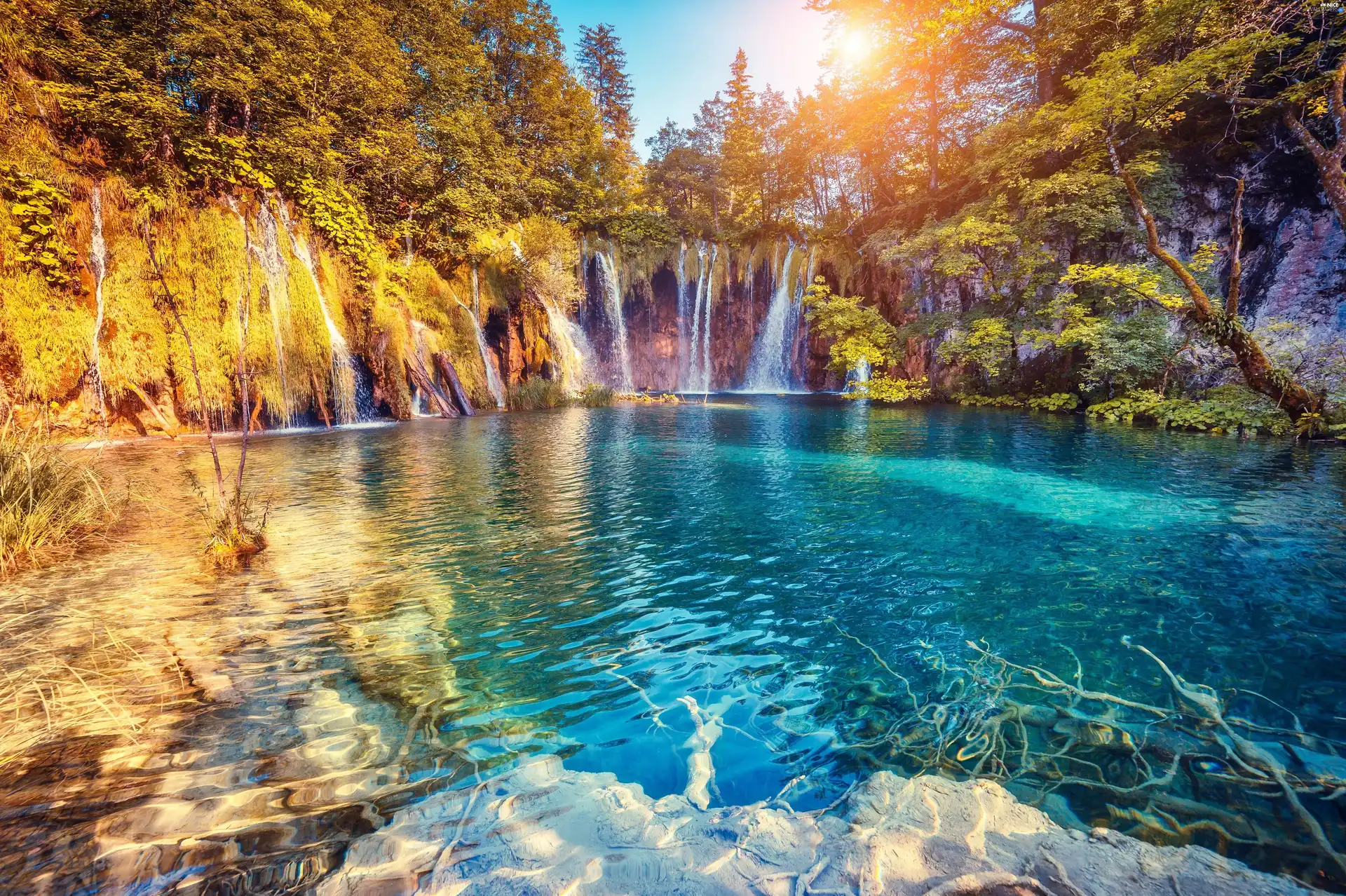 waterfall, rays of the Sun, VEGETATION, River