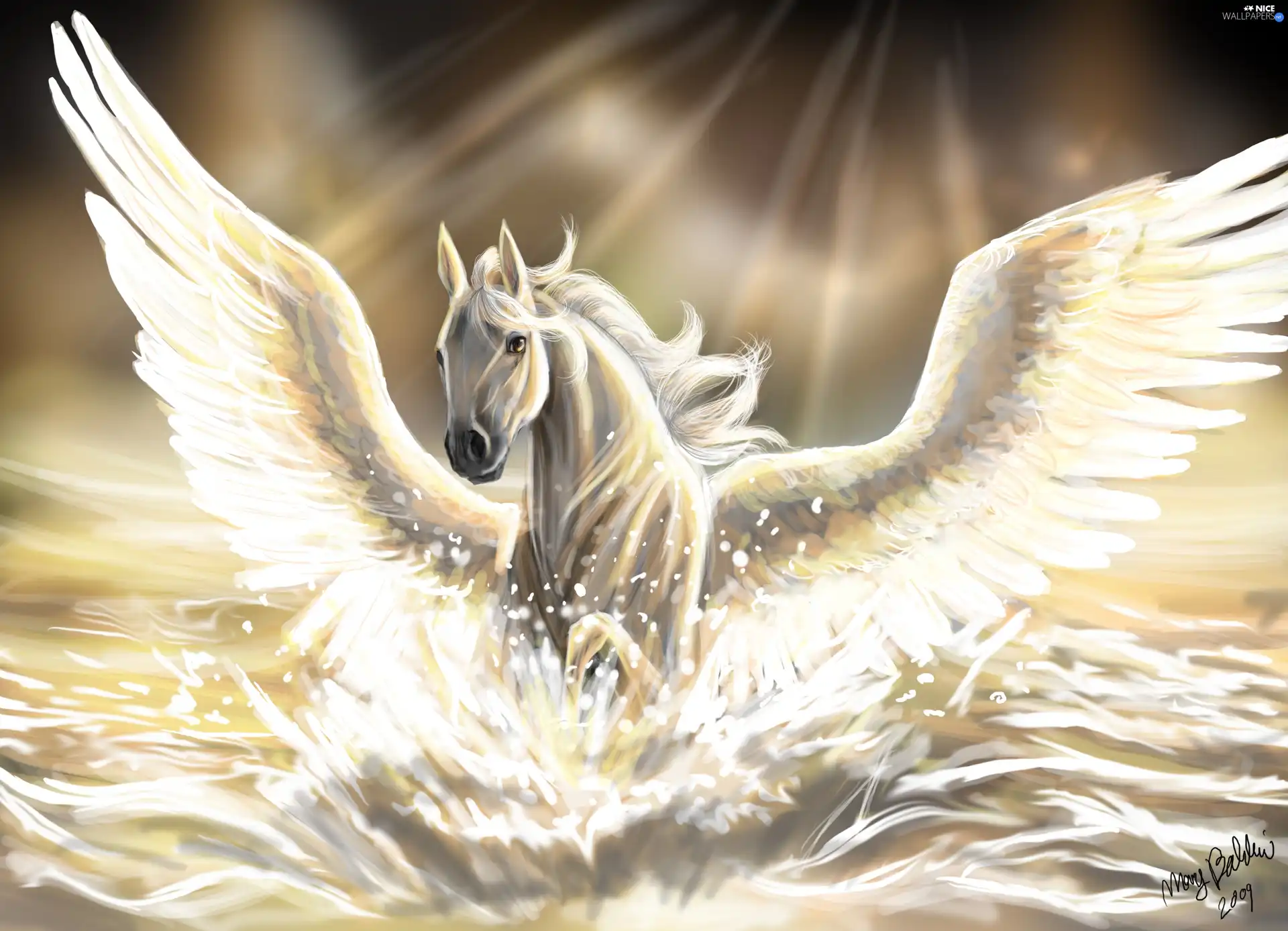 rays, Pegasus, wings