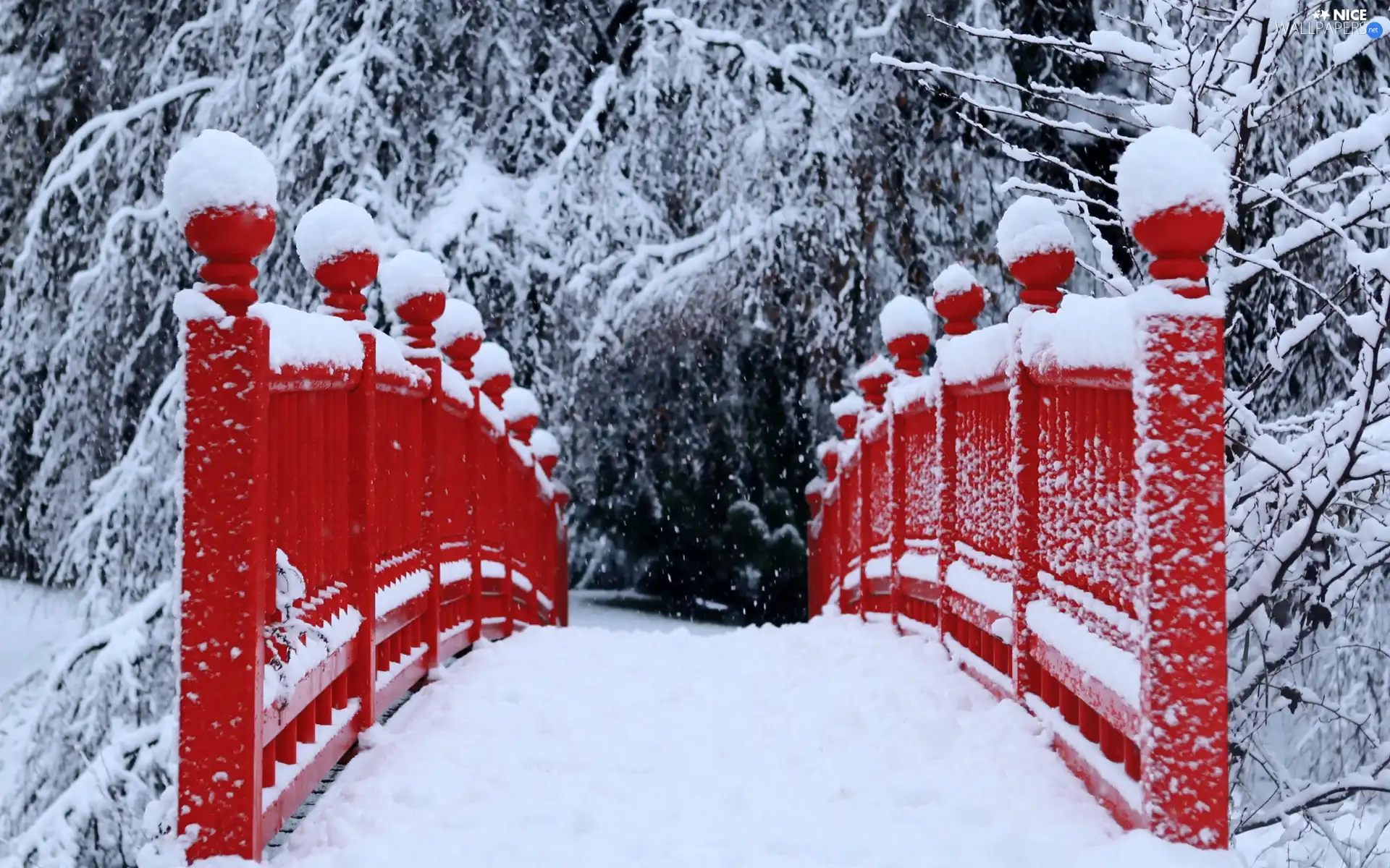 Red, bridges, trees, viewes, snowy