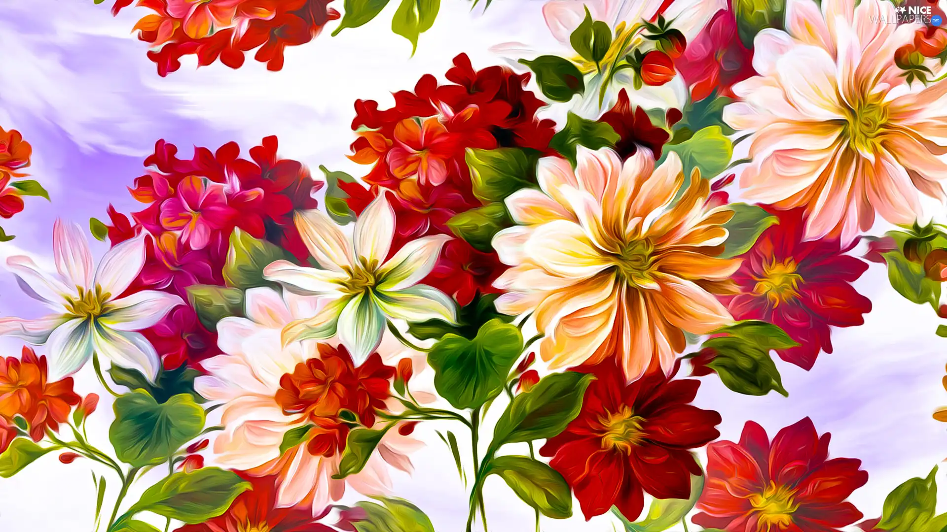 color, Flowers, graphics, Red
