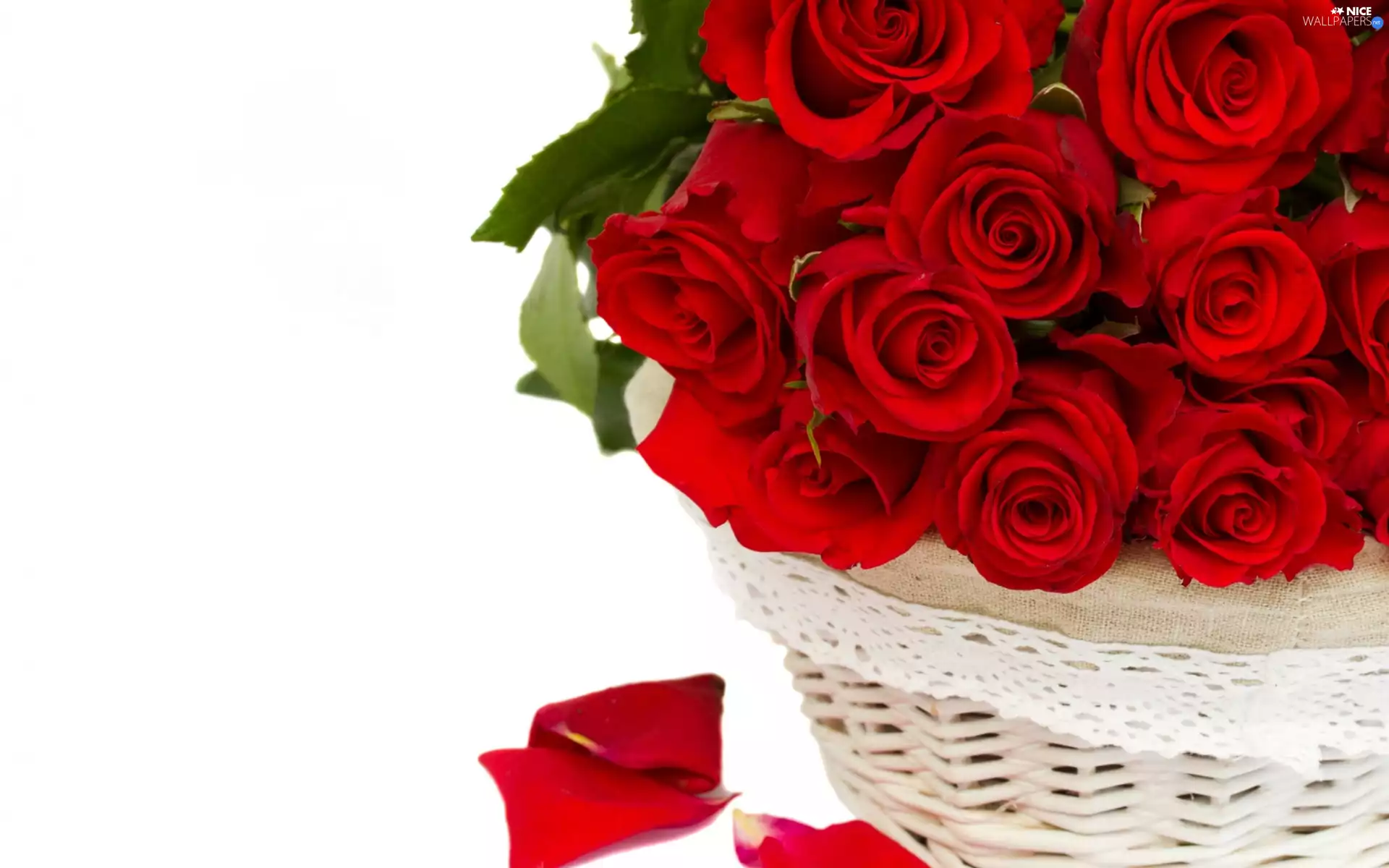 Flowers, Roze, basket, Red