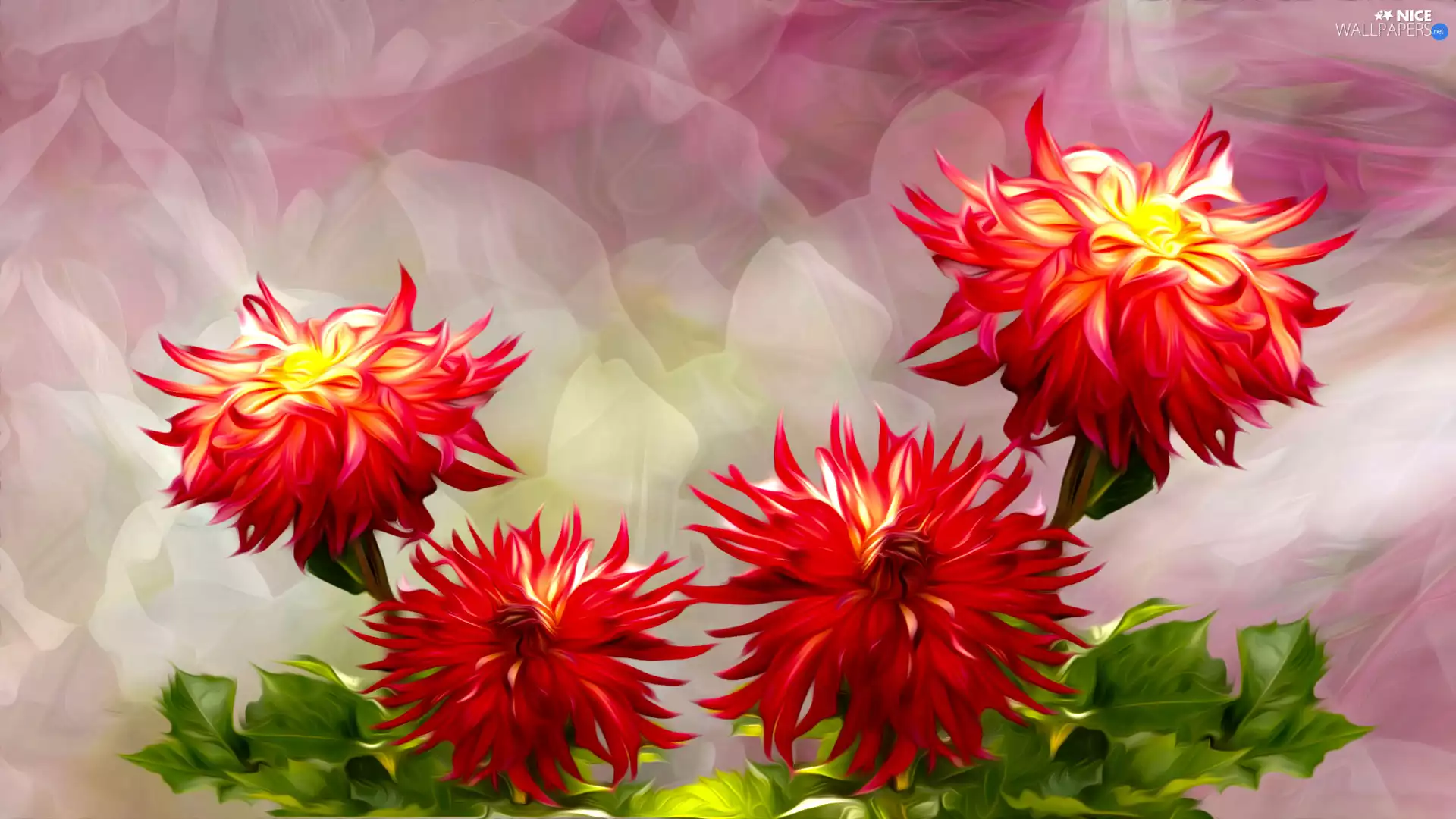 Flowers, dahlias, graphics, Red