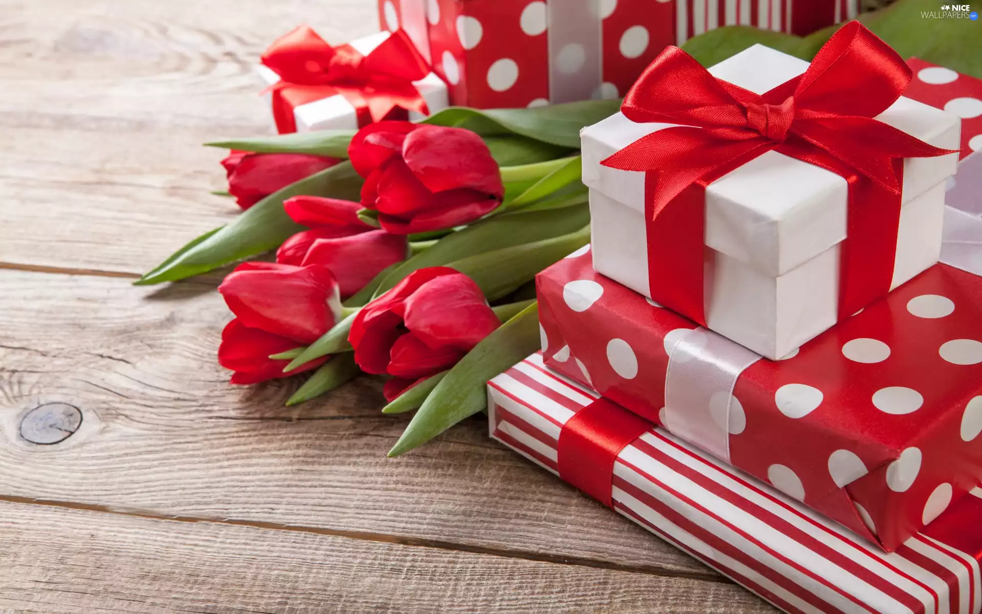 gifts, Tulips, boarding, Red