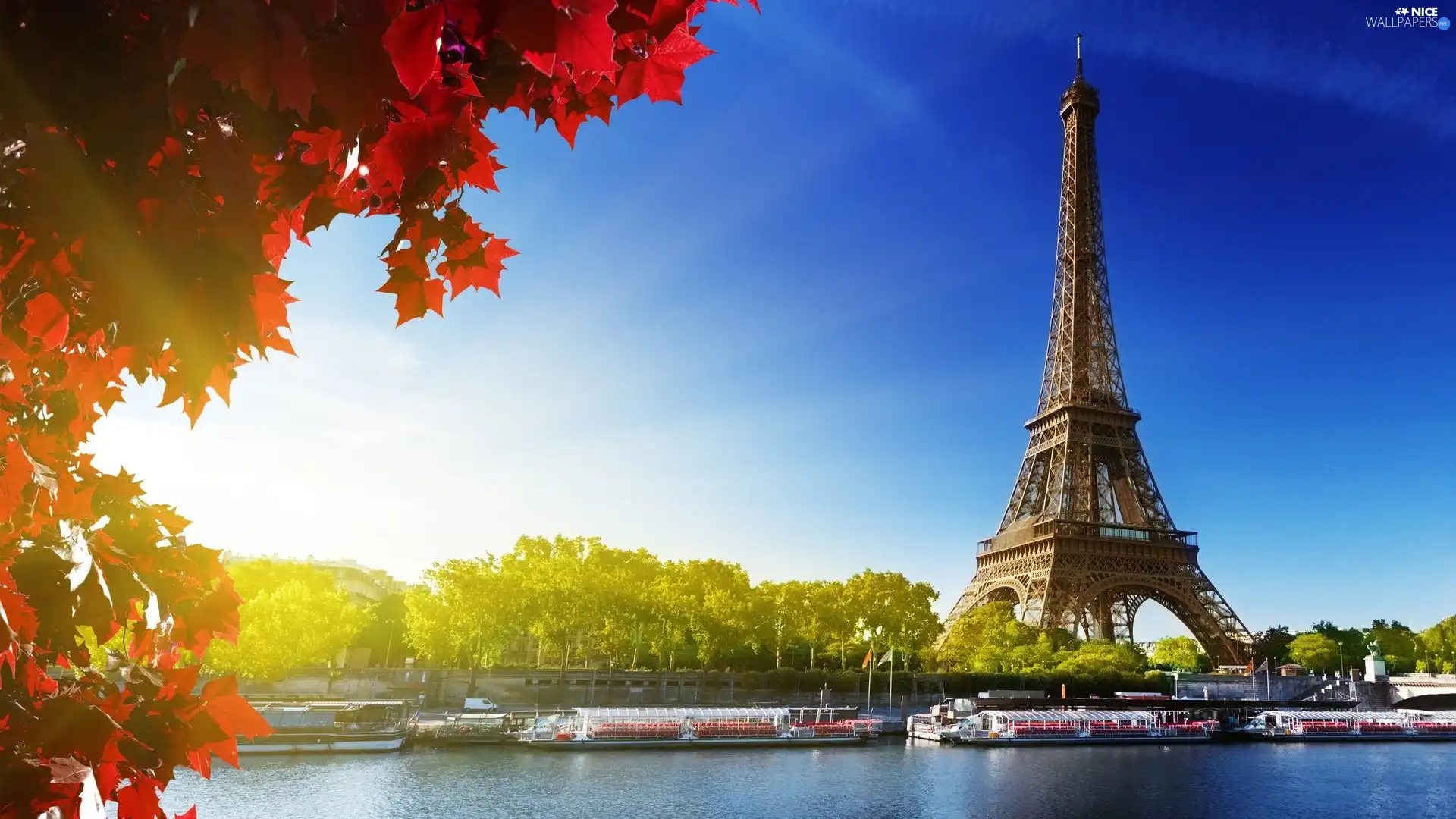 Red, Leaf, Eiffla, Paris, tower