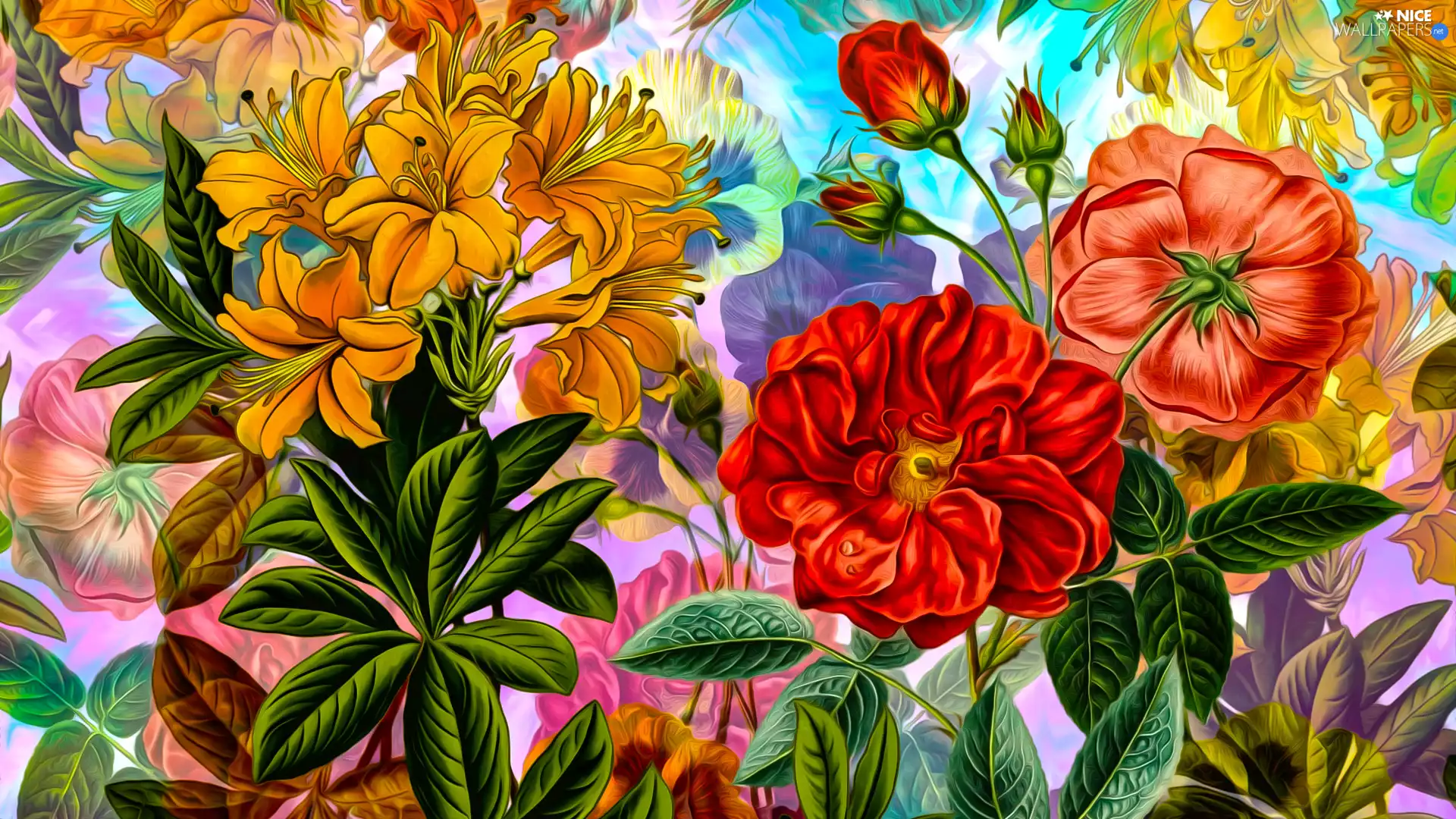 Orange, Flowers, graphics, Red