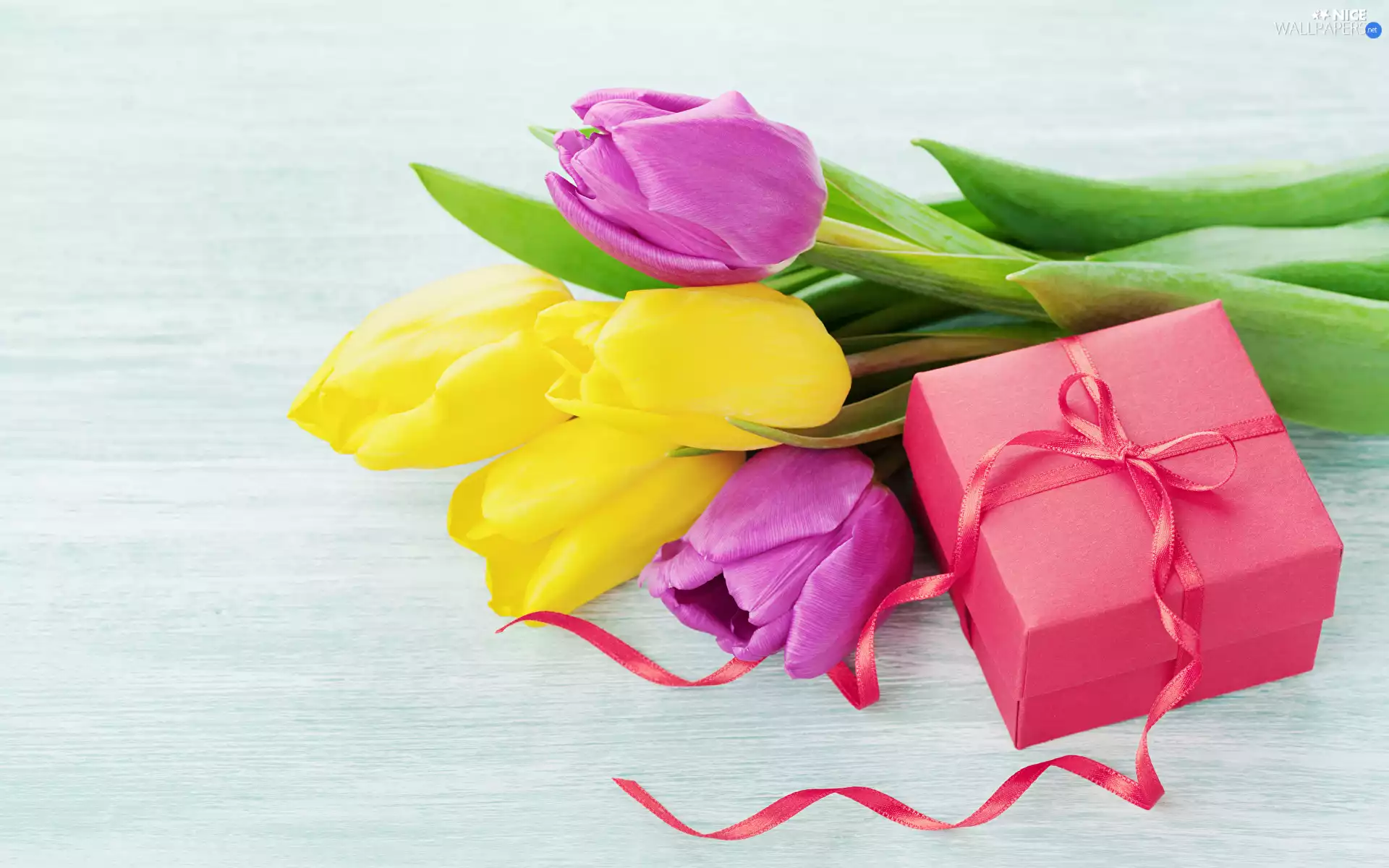 Pink, Tulips, ribbon, Present, Box, Yellow, Flowers, Red