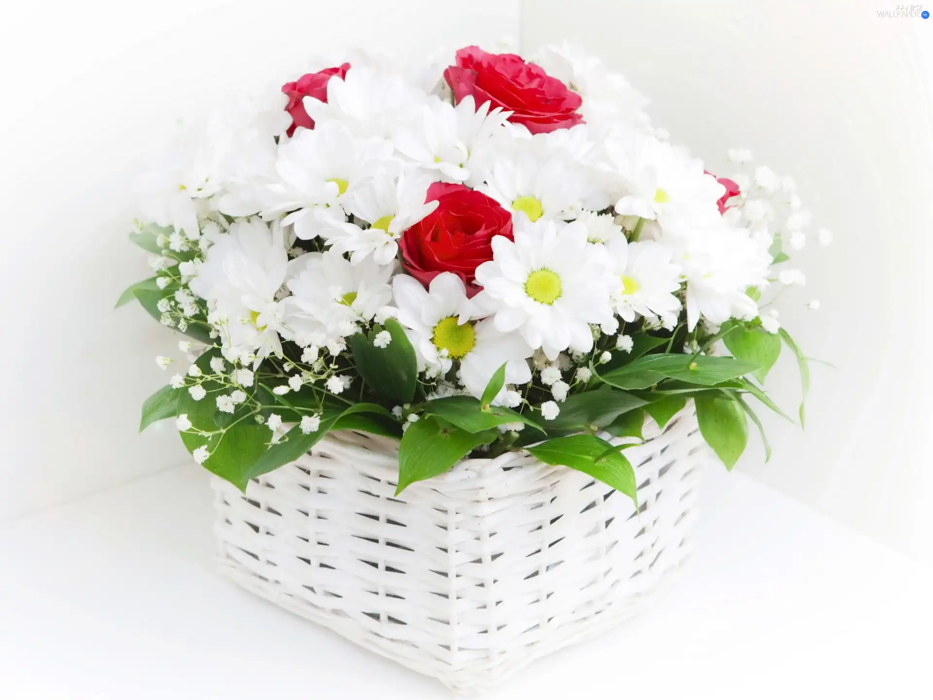 Red, roses, White, daisy, basket