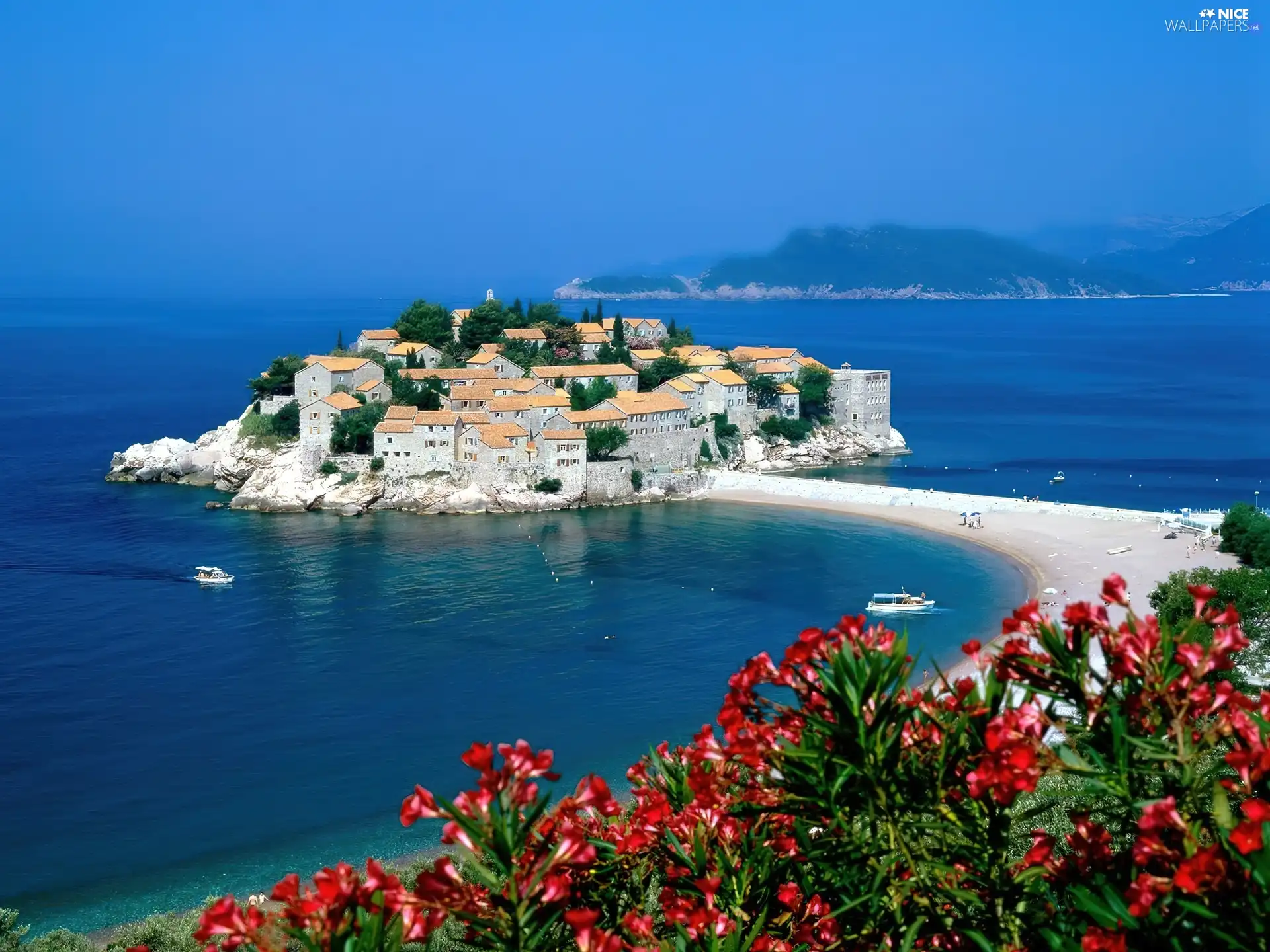 Red, Flowers, St. Stefan, Montenegro, Island