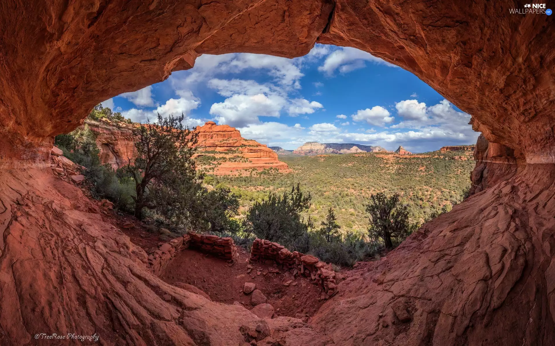 Red, Arizona, trees, Sedona, The United States, rocks, viewes