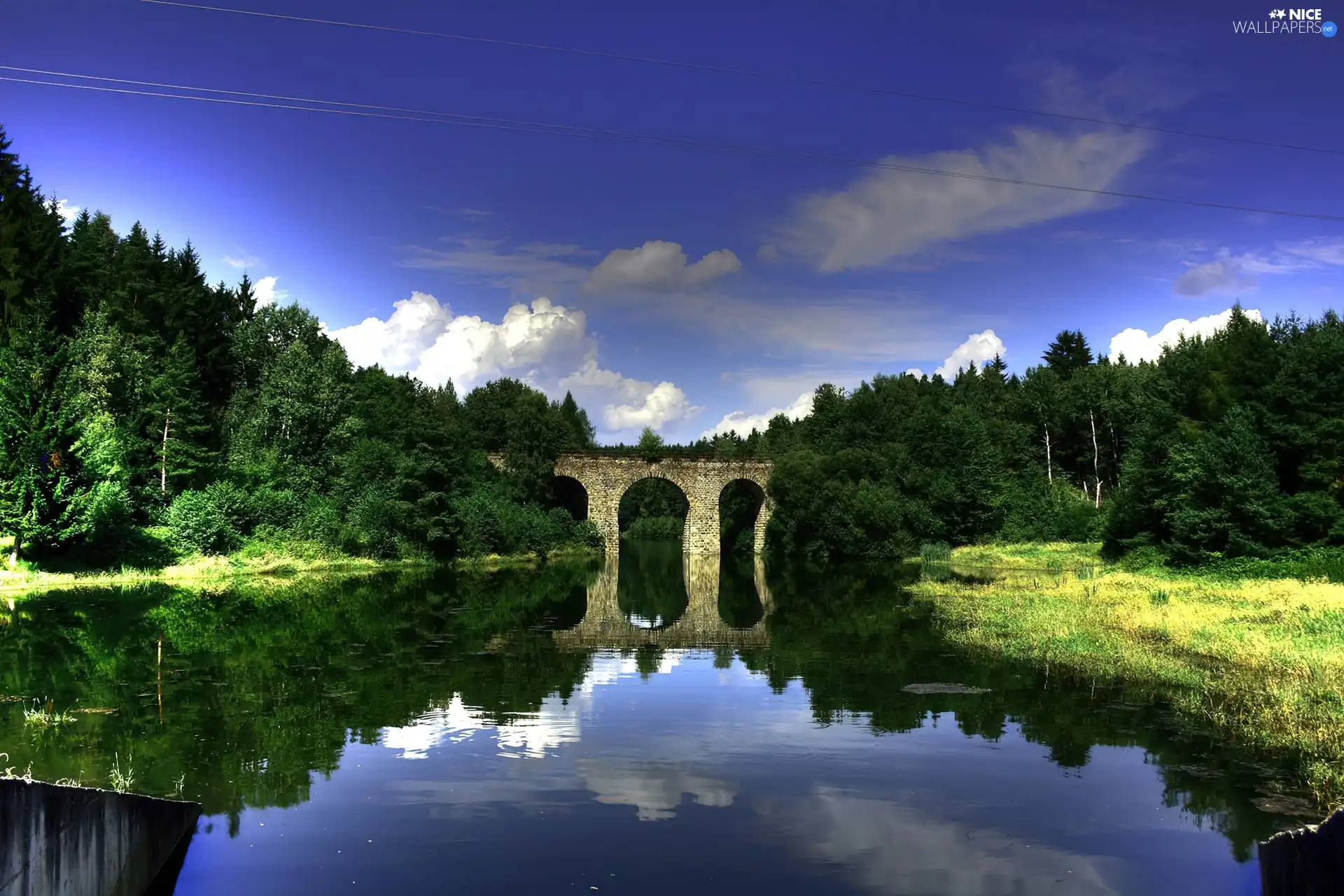 bridge, water, reflection, forest