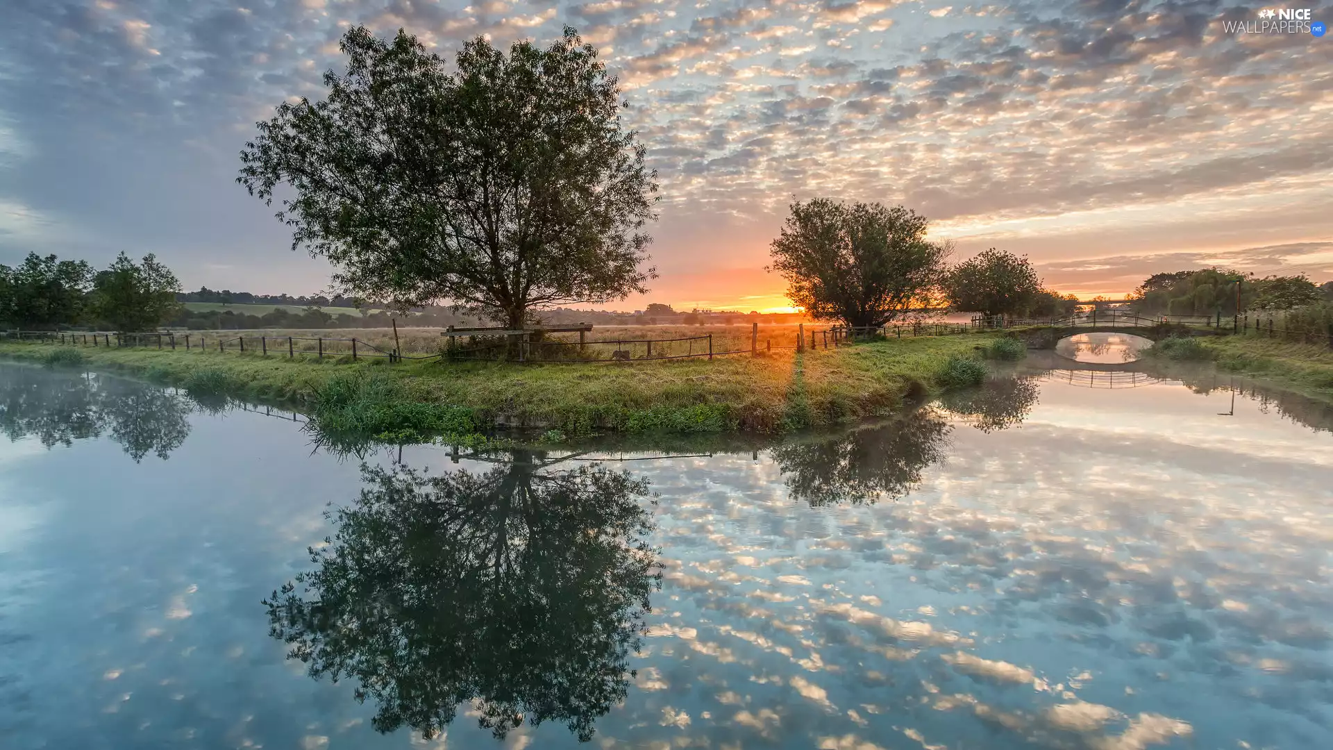 trees, River, clouds, reflection, viewes, Great Sunsets