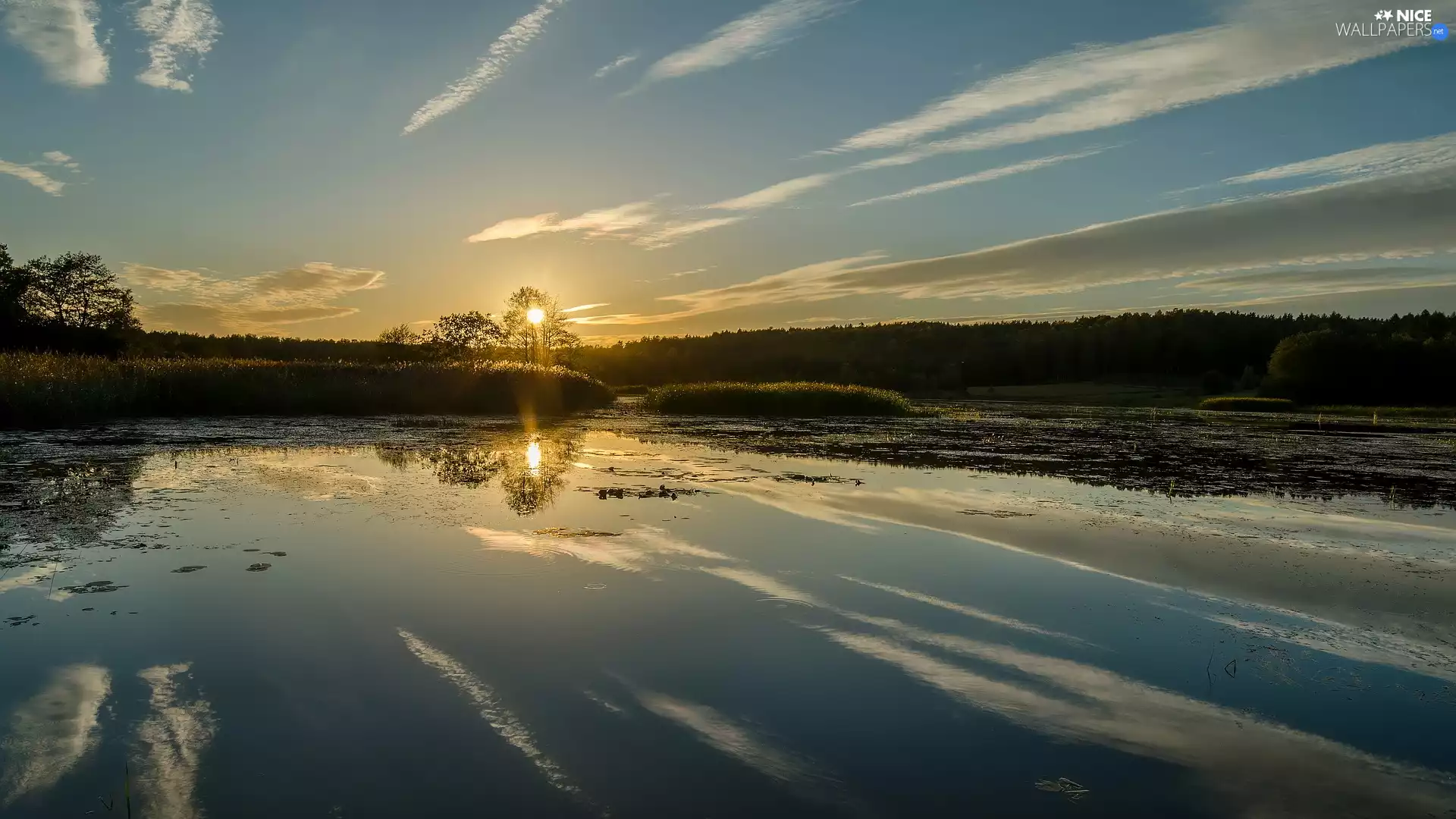 Sunrise, reflection, coast, VEGETATION, lake