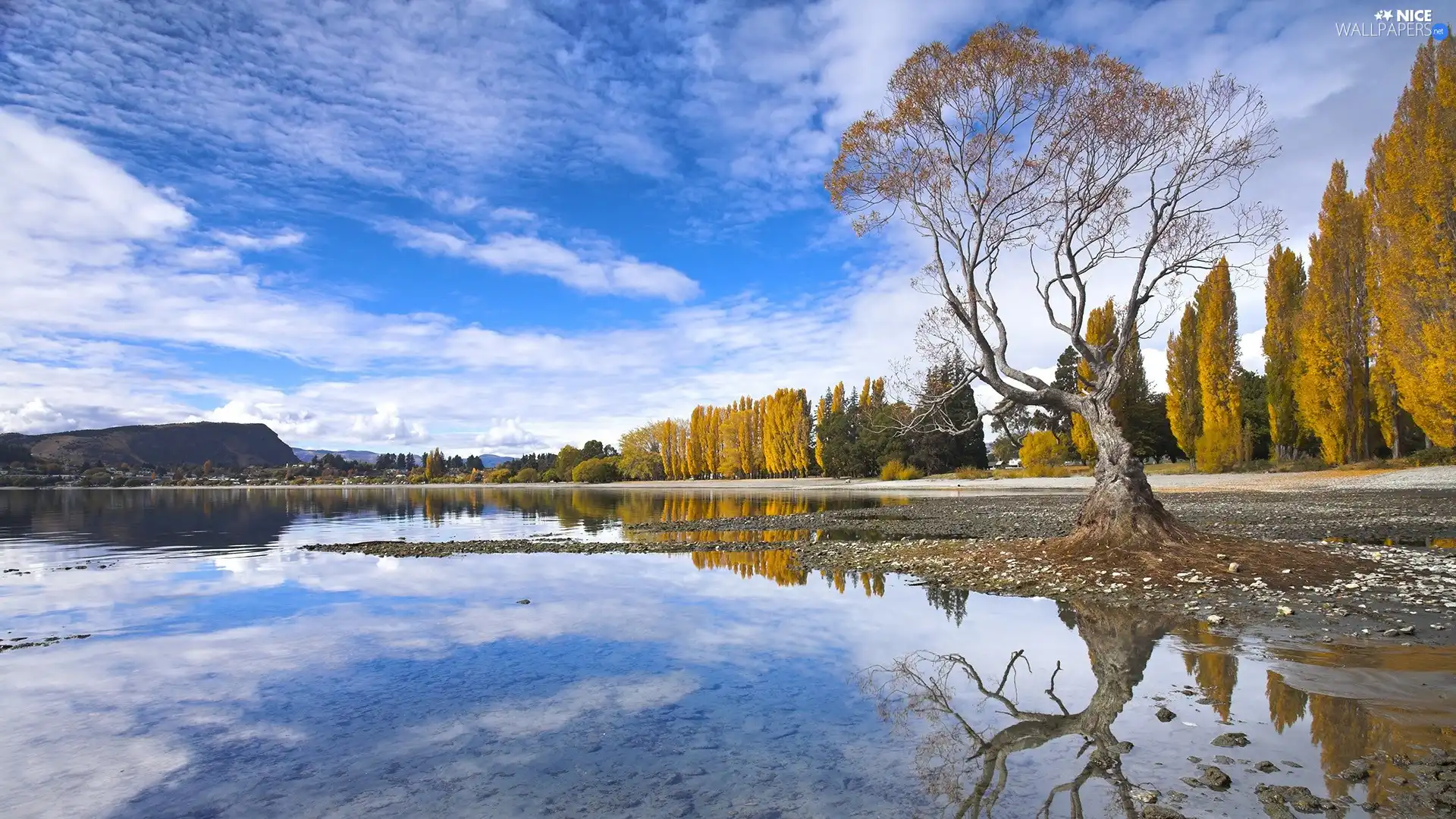 reflection, lake, Coast