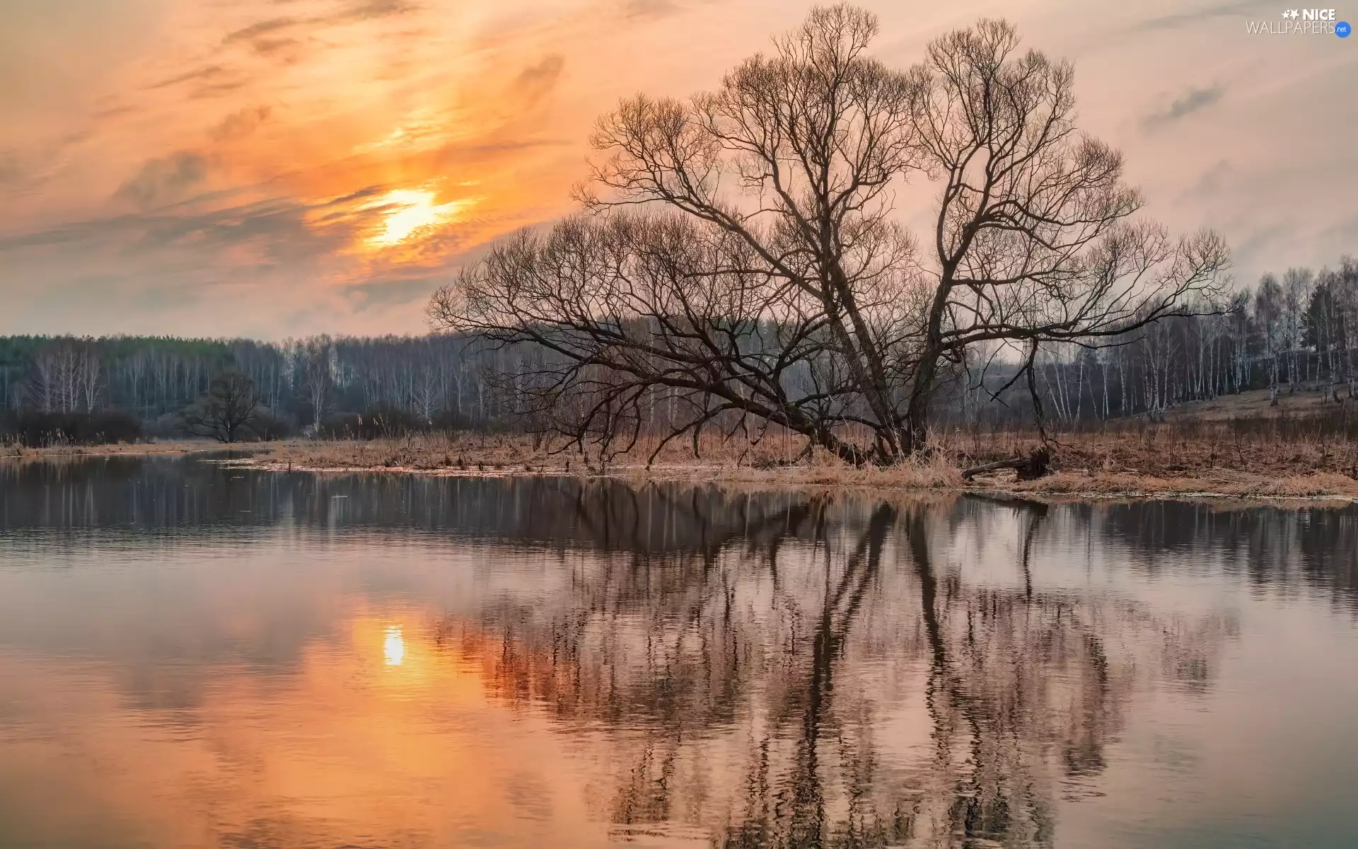 River, reflection, day, trees, sunny