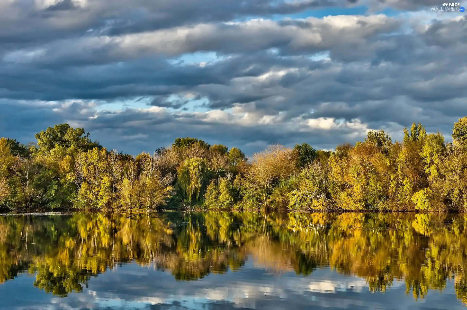 reflection, lake, forest