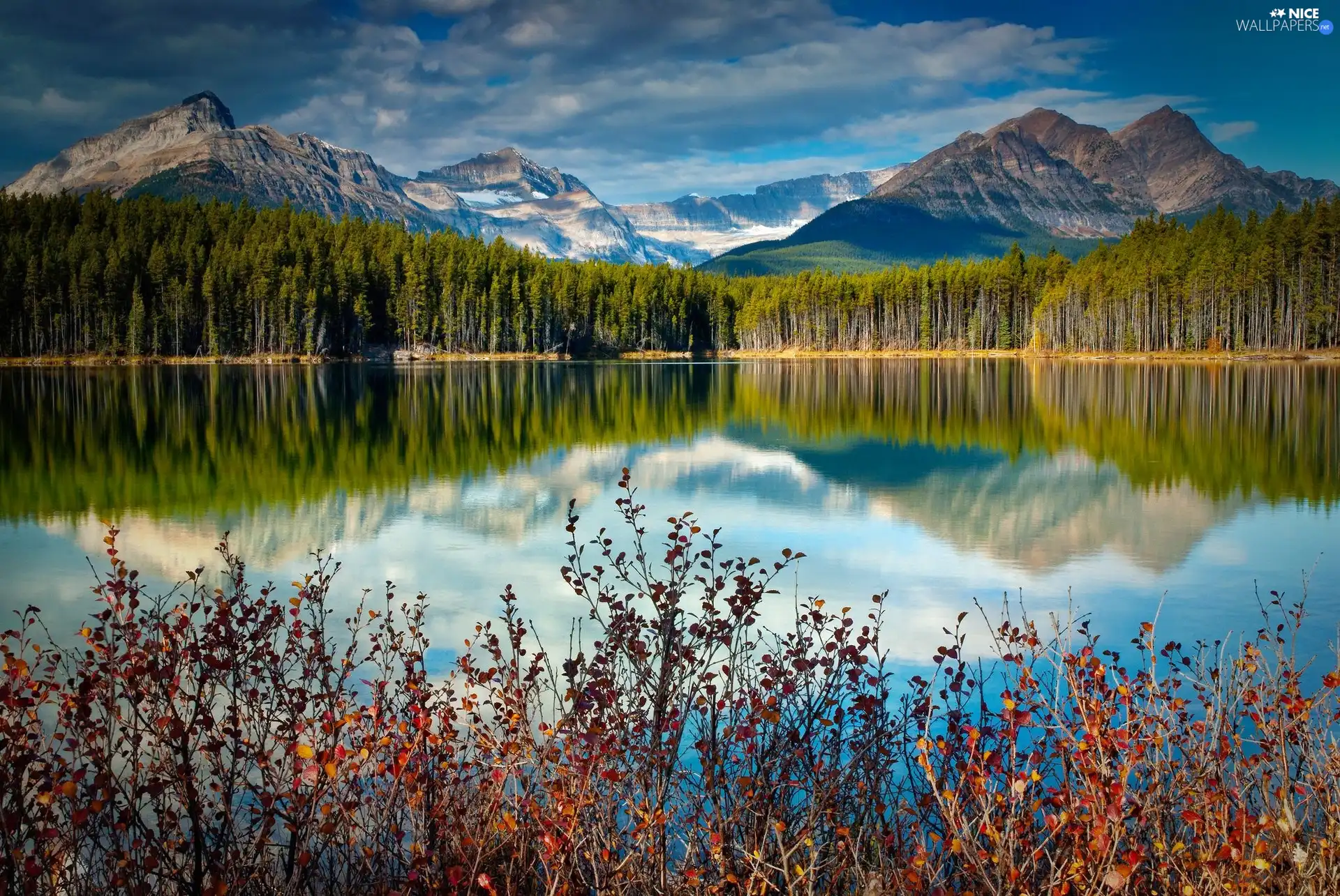 lake, Mountains, reflection, woods