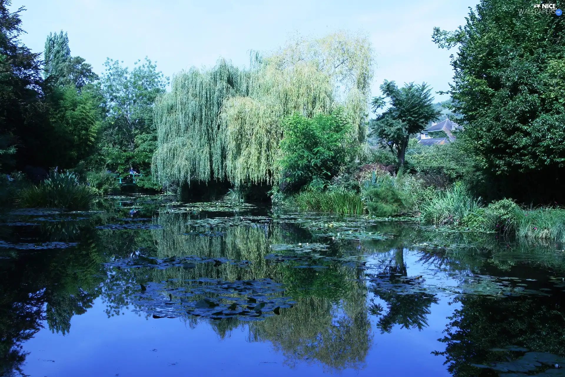 lake, viewes, reflection, trees