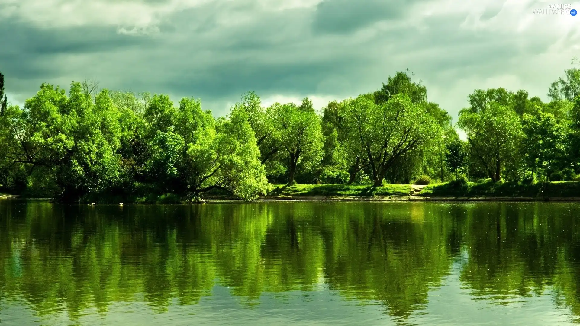 lake, viewes, reflection, trees