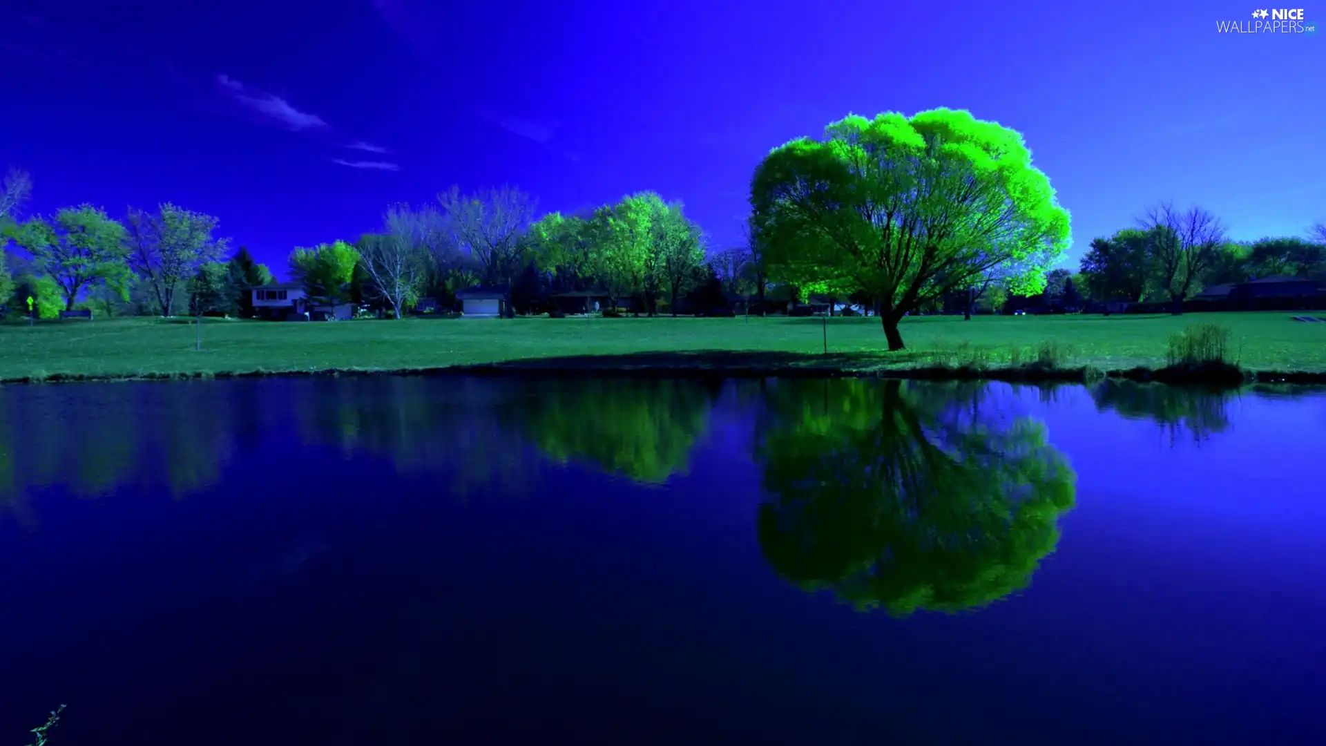 lake, reflection