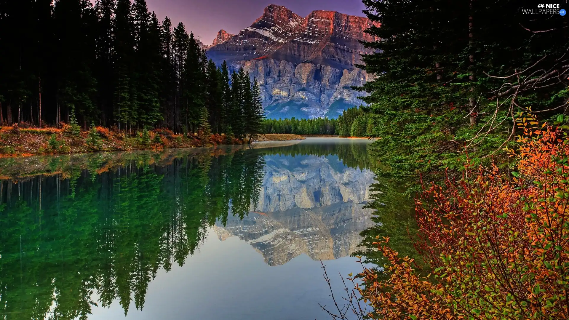 mountains, forest, reflection, lake