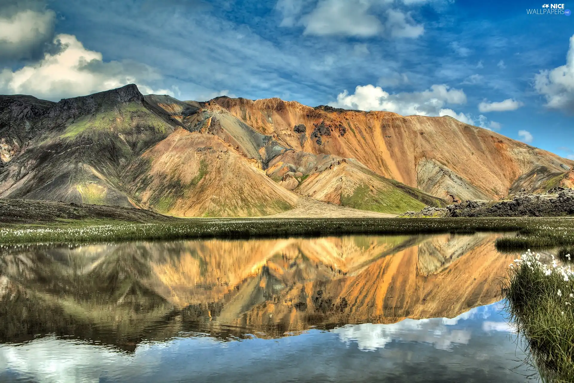 Mountains, lake, reflection, Meadow