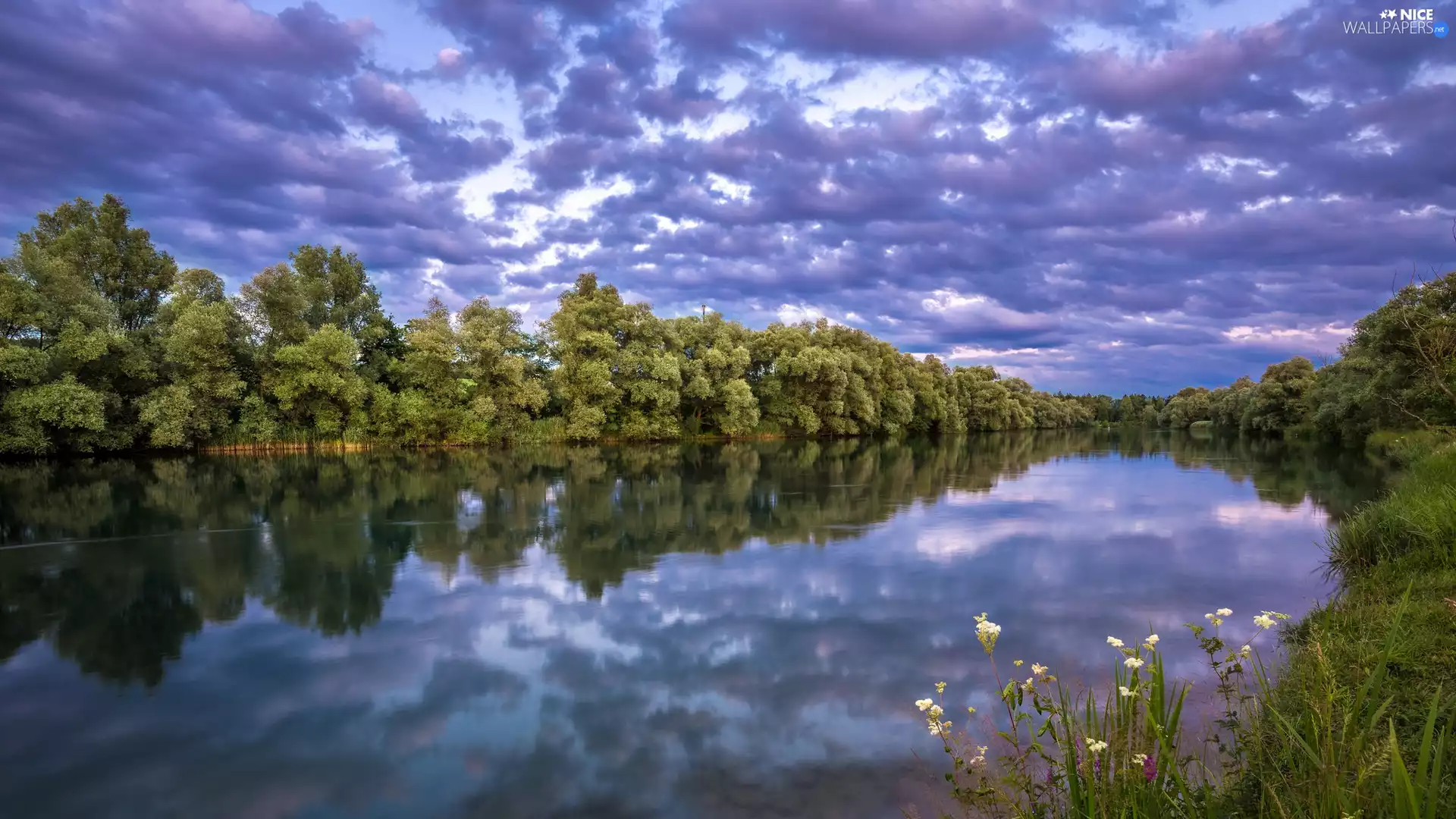 viewes, River, clouds, reflection, Sky, trees