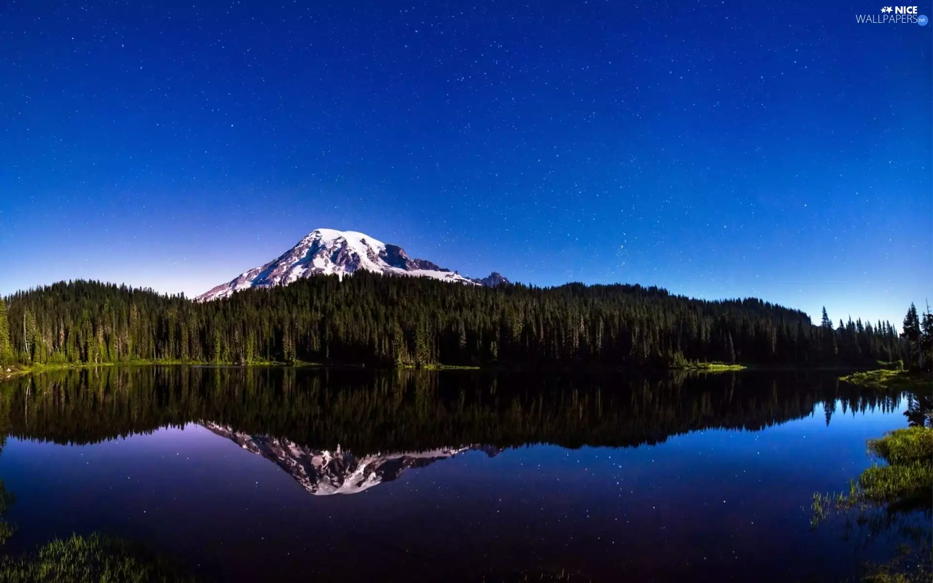 Starry, reflection, woods, lake, Mountains
