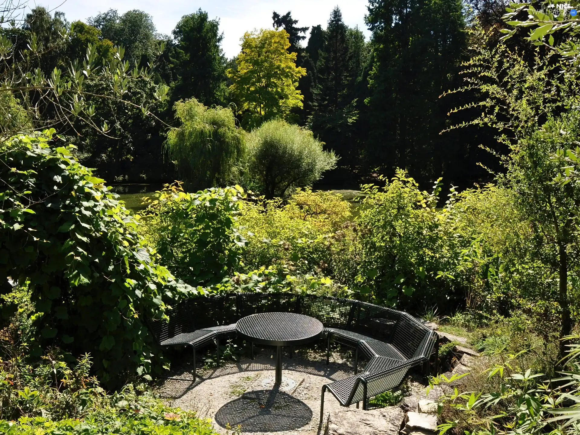 Garden, Bench, relaxation, green