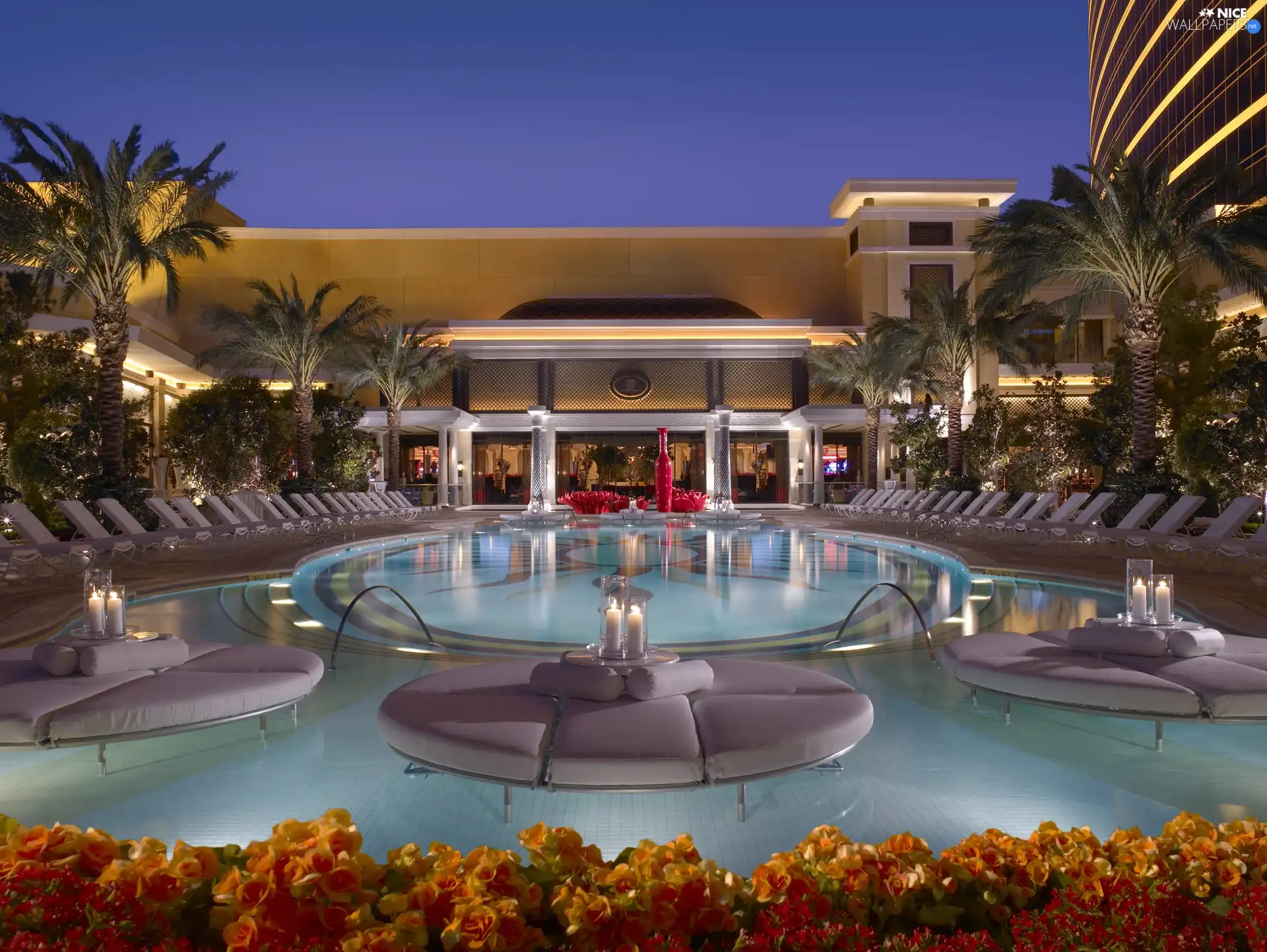 Hotel hall, Flowers, relaxation, Pool