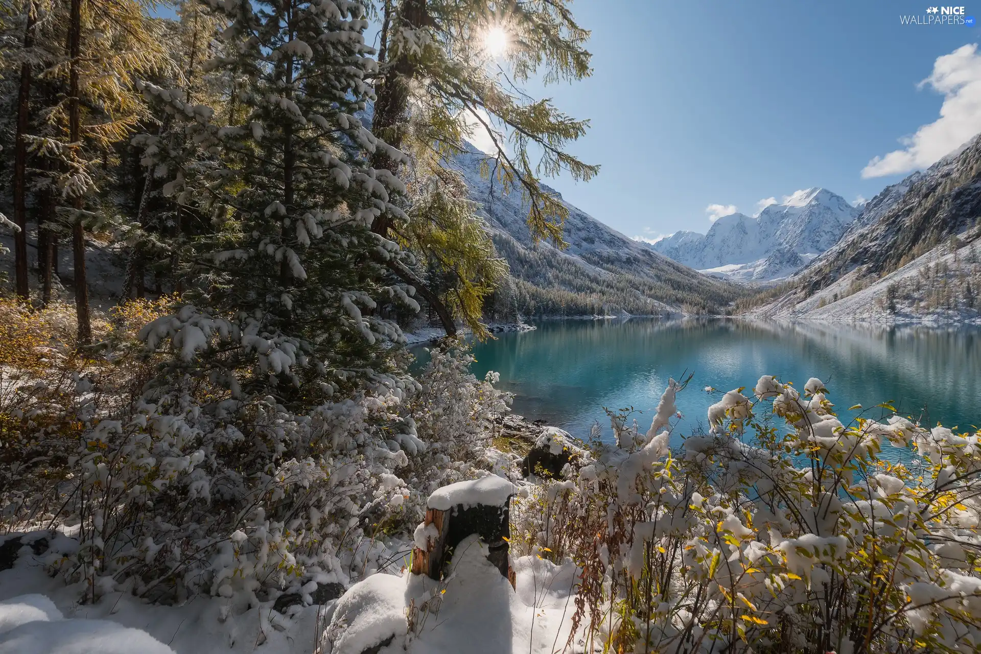 Viewes Snow Russia Szawlinskie Lake Altai Republic Trees Winter