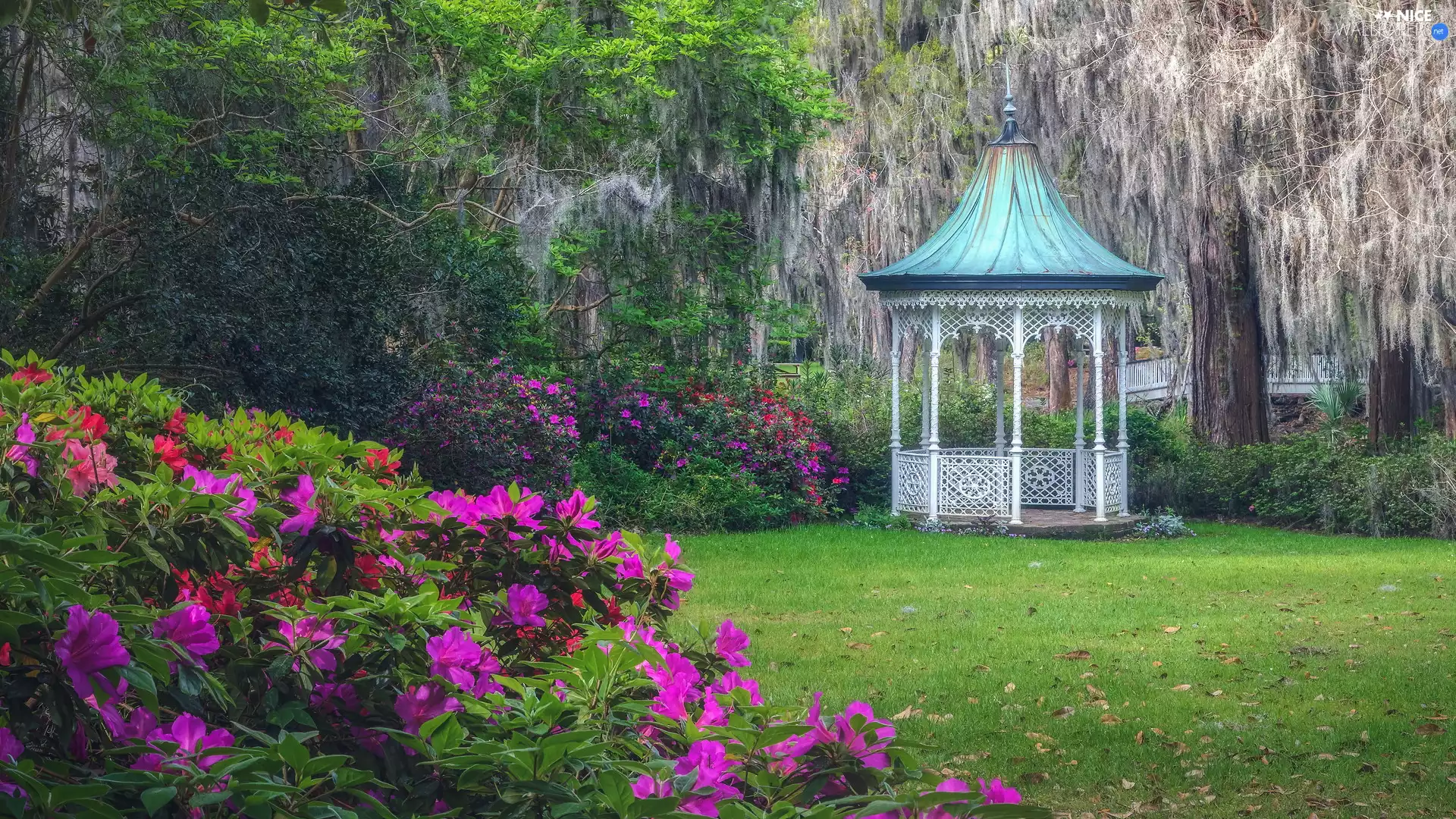 viewes, rhododendron, arbour, trees, Garden