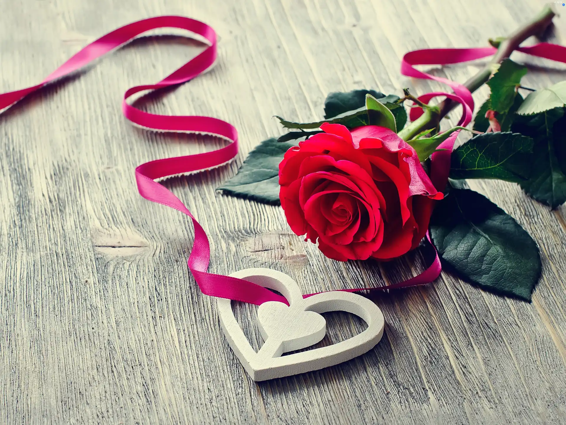 red hot, Heart, ribbon, rose
