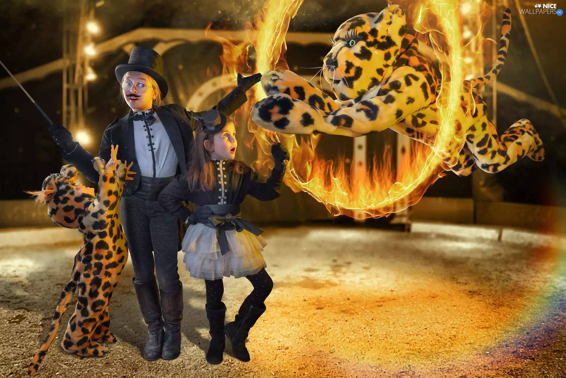 arena, Kids, Burning, rim, tiger, circus