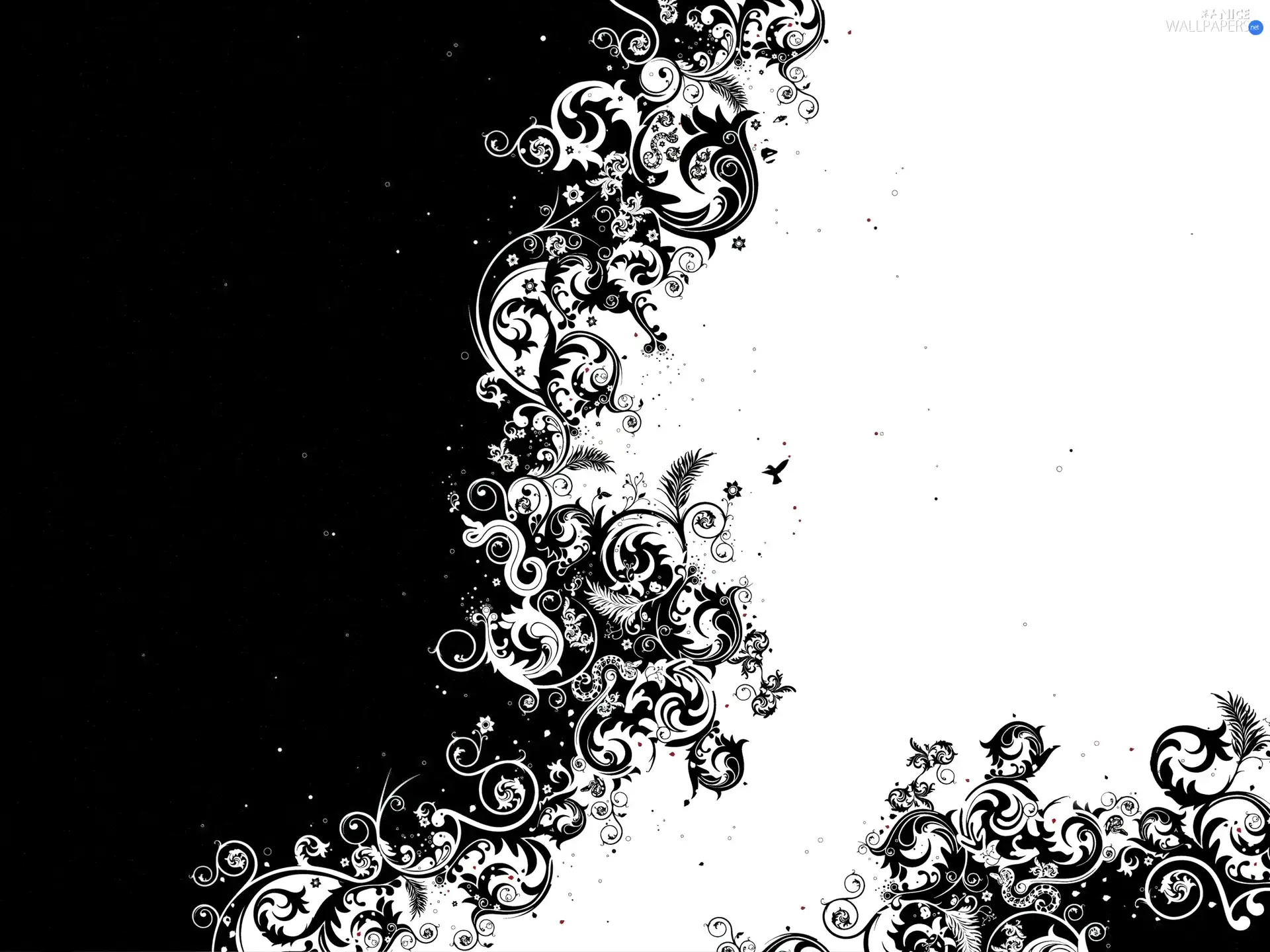 rings, texture, White, broken, Black
