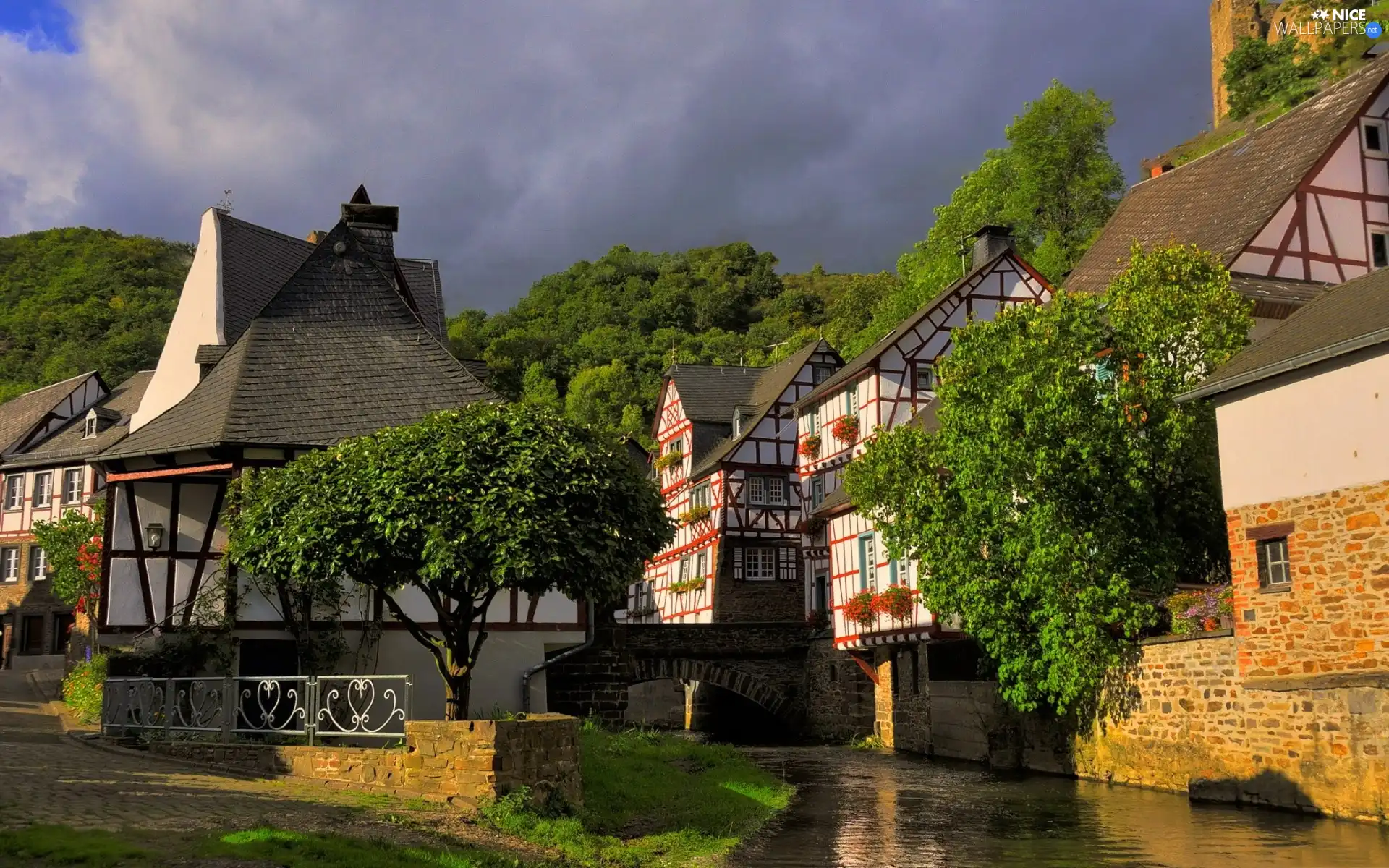 River, bridge, trees, viewes, Houses