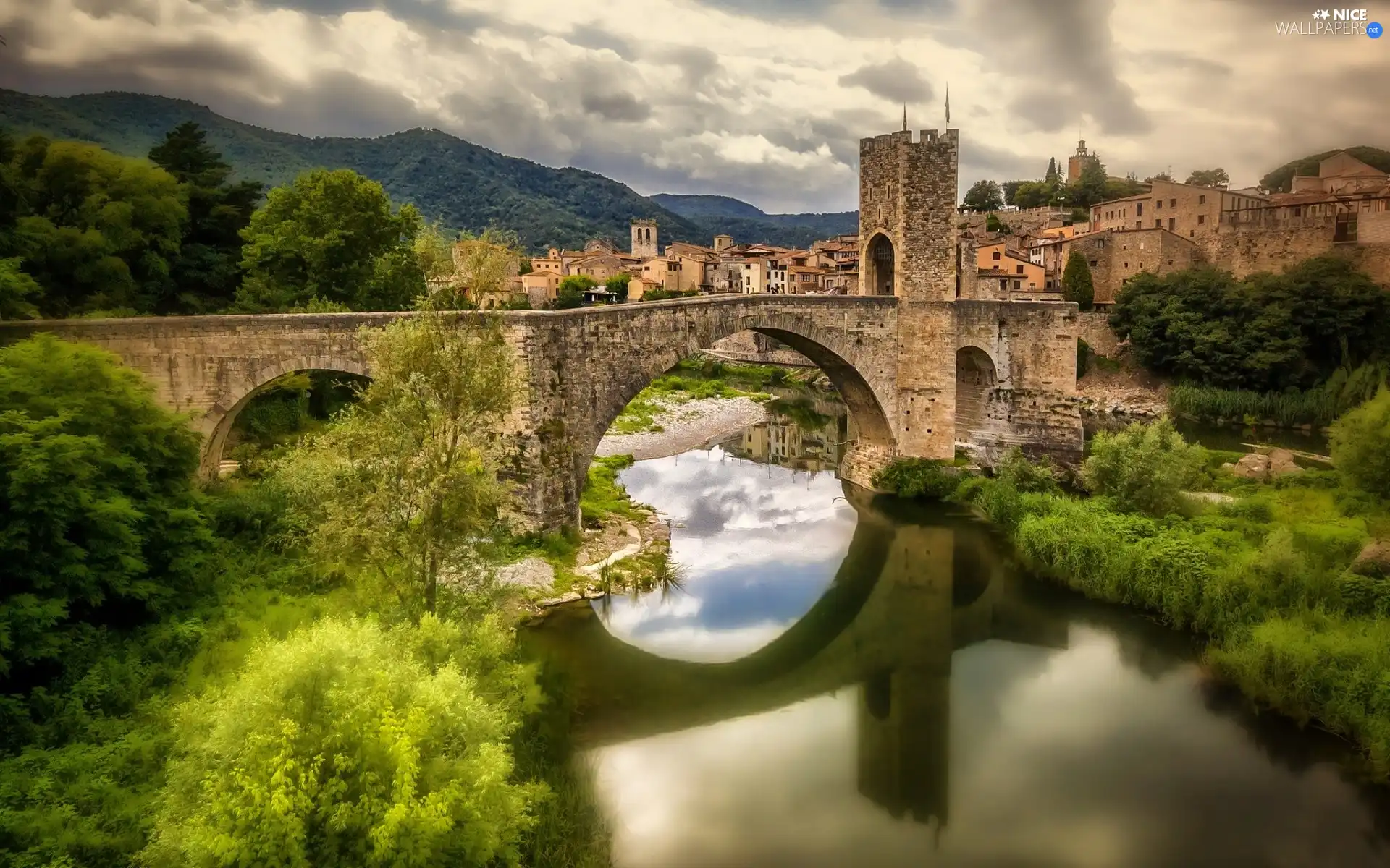 River, Bush, Spain, bridge, Besalu