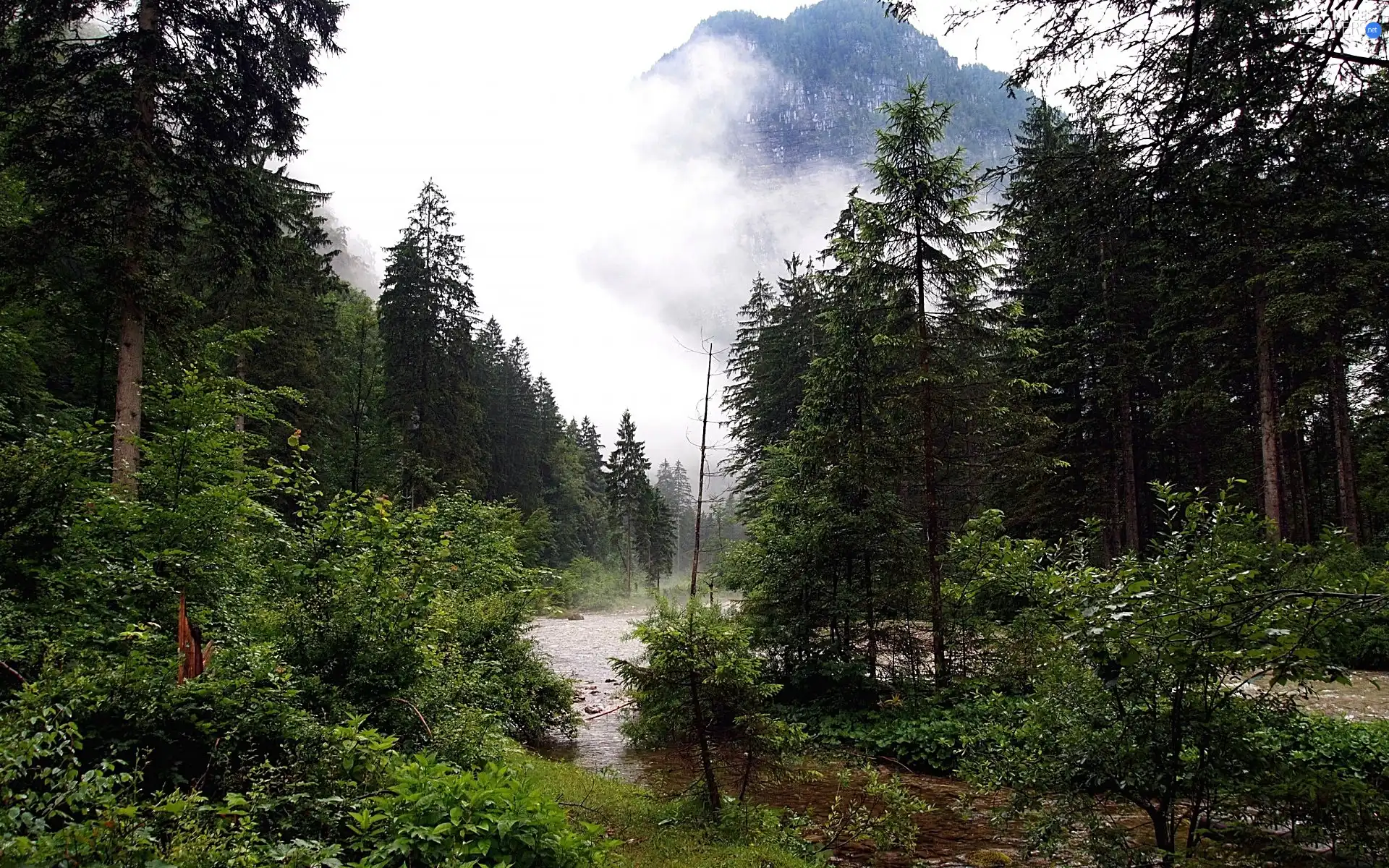 River, forest, clouds