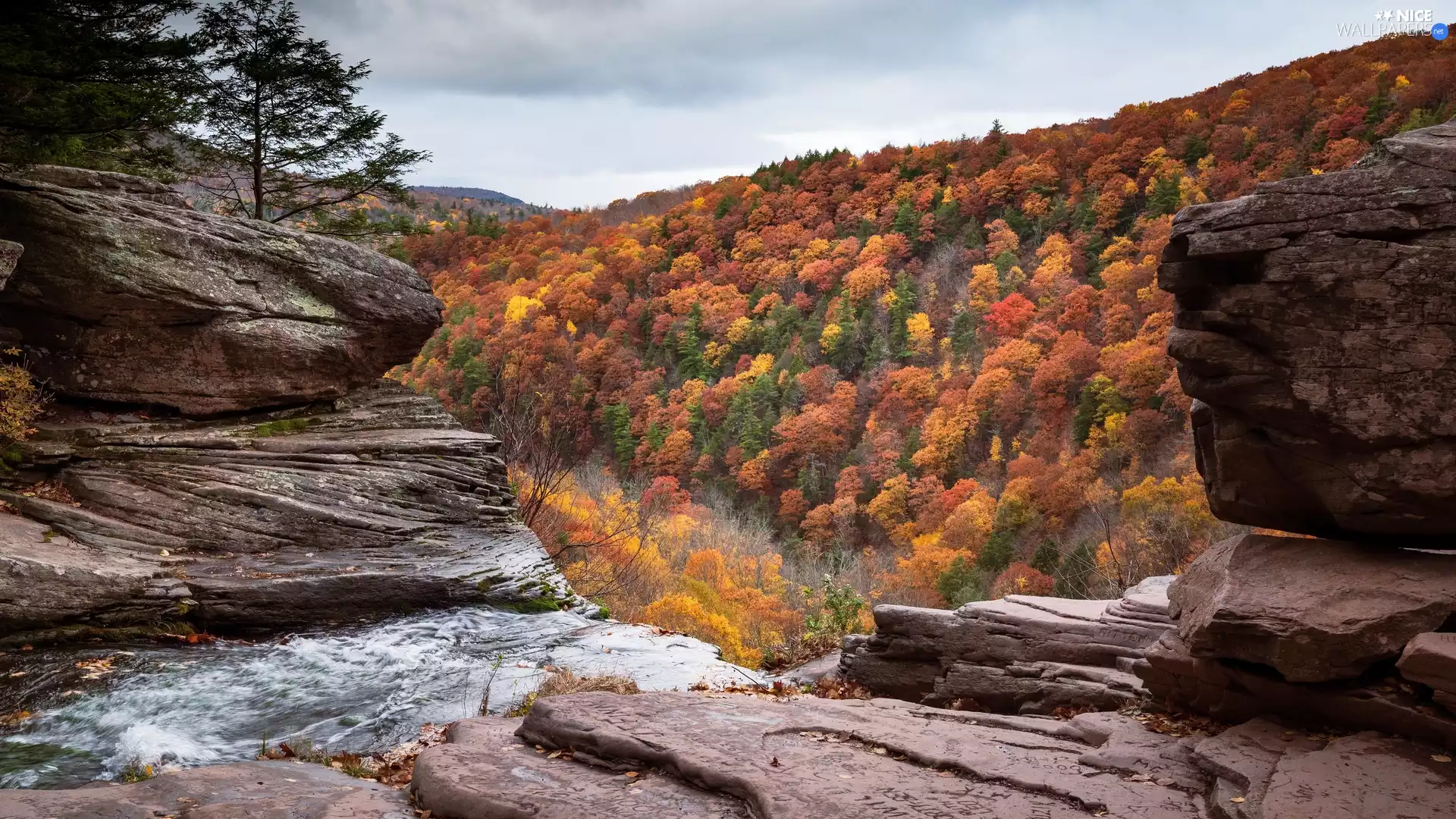trees, autumn, rocks, River, viewes, color