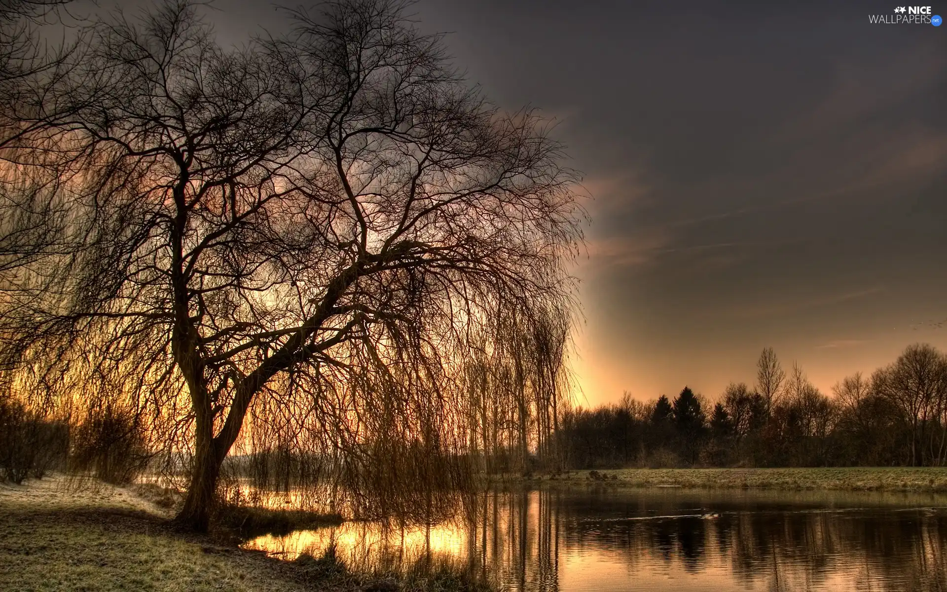 evening, sun, River, west