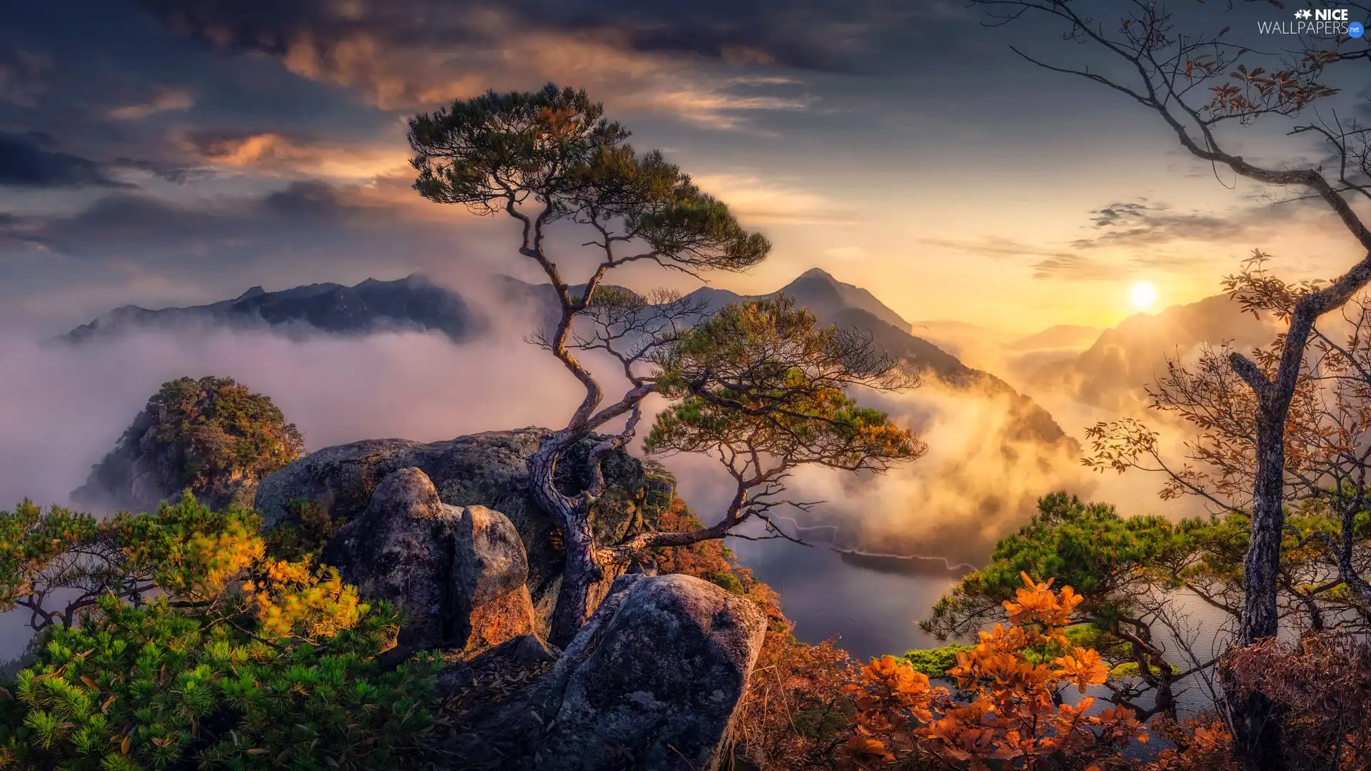 viewes, pine, Fog, rocks, Sunrise, trees, Mountains, River