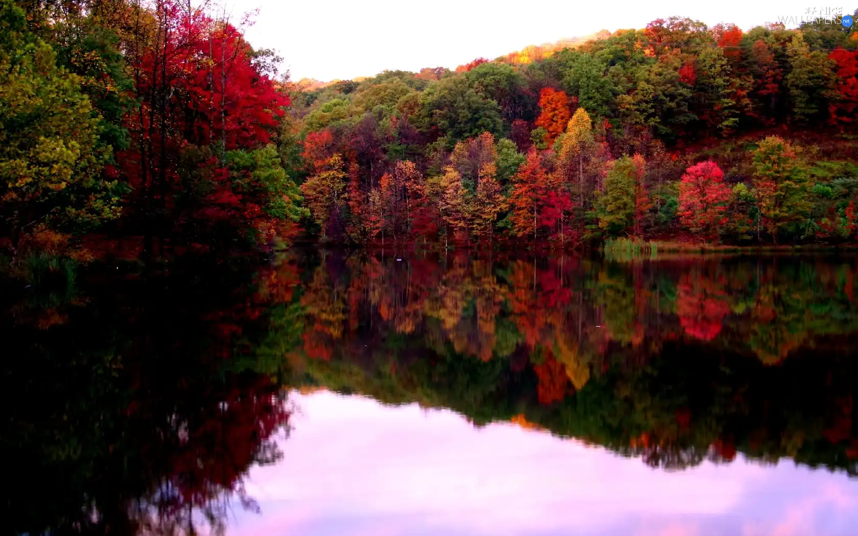 River, autumn, forest