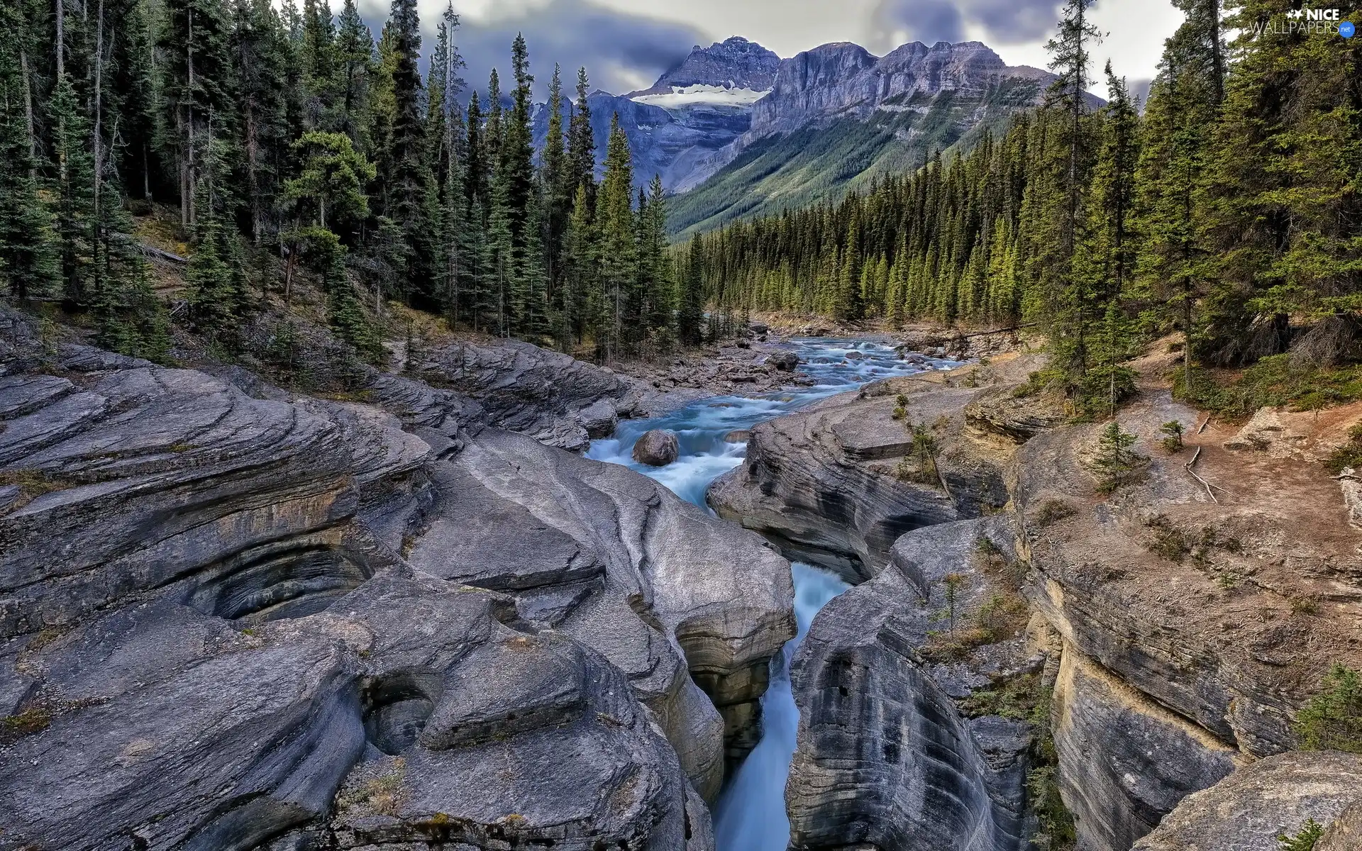 River, rocks, forest