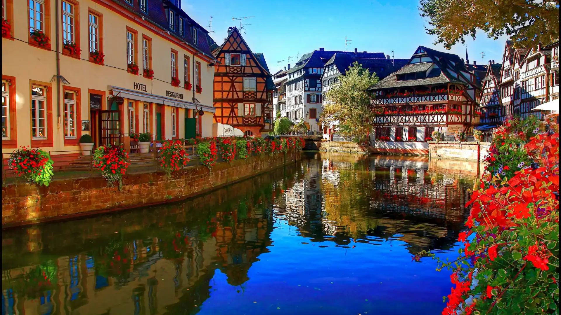 River, Flowers, Hotel hall, Restaurant, Town