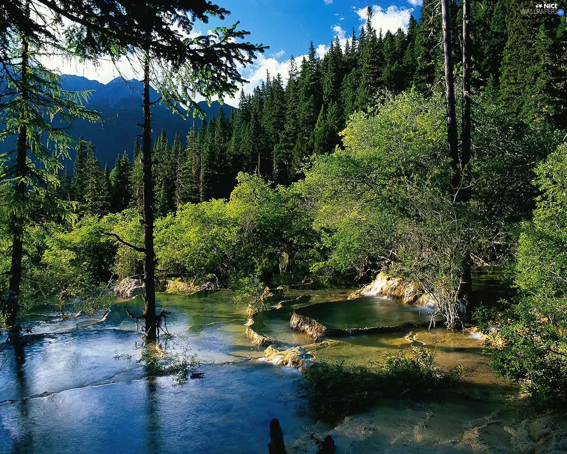 River, forest, Mountain