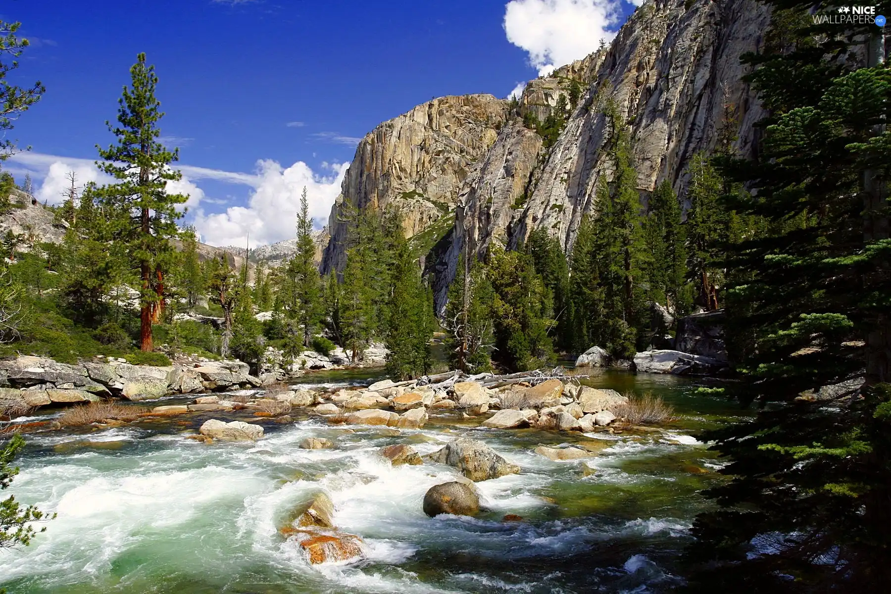 Mountains, Stones, River, forest