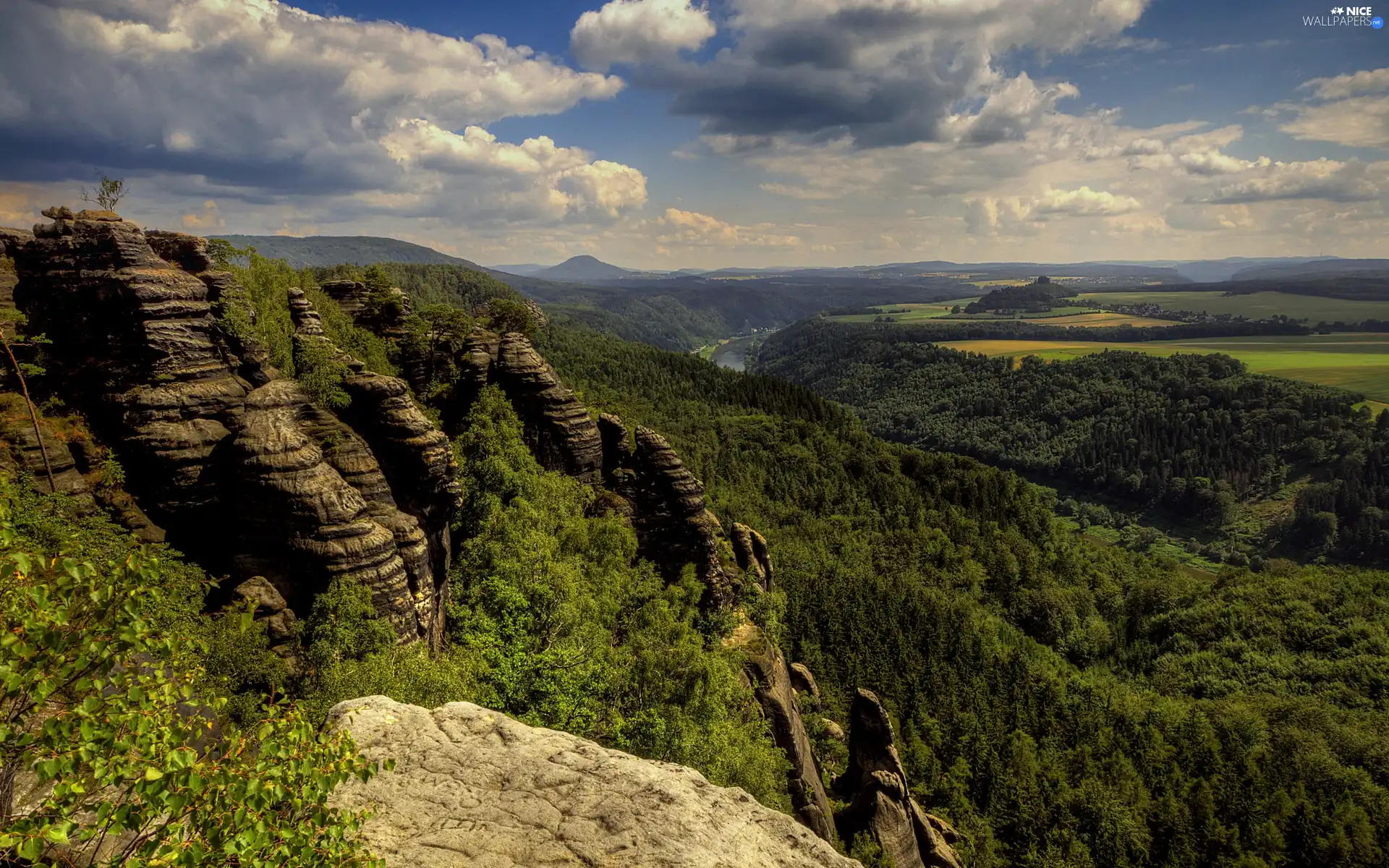 Mountains, woods, River, rocks