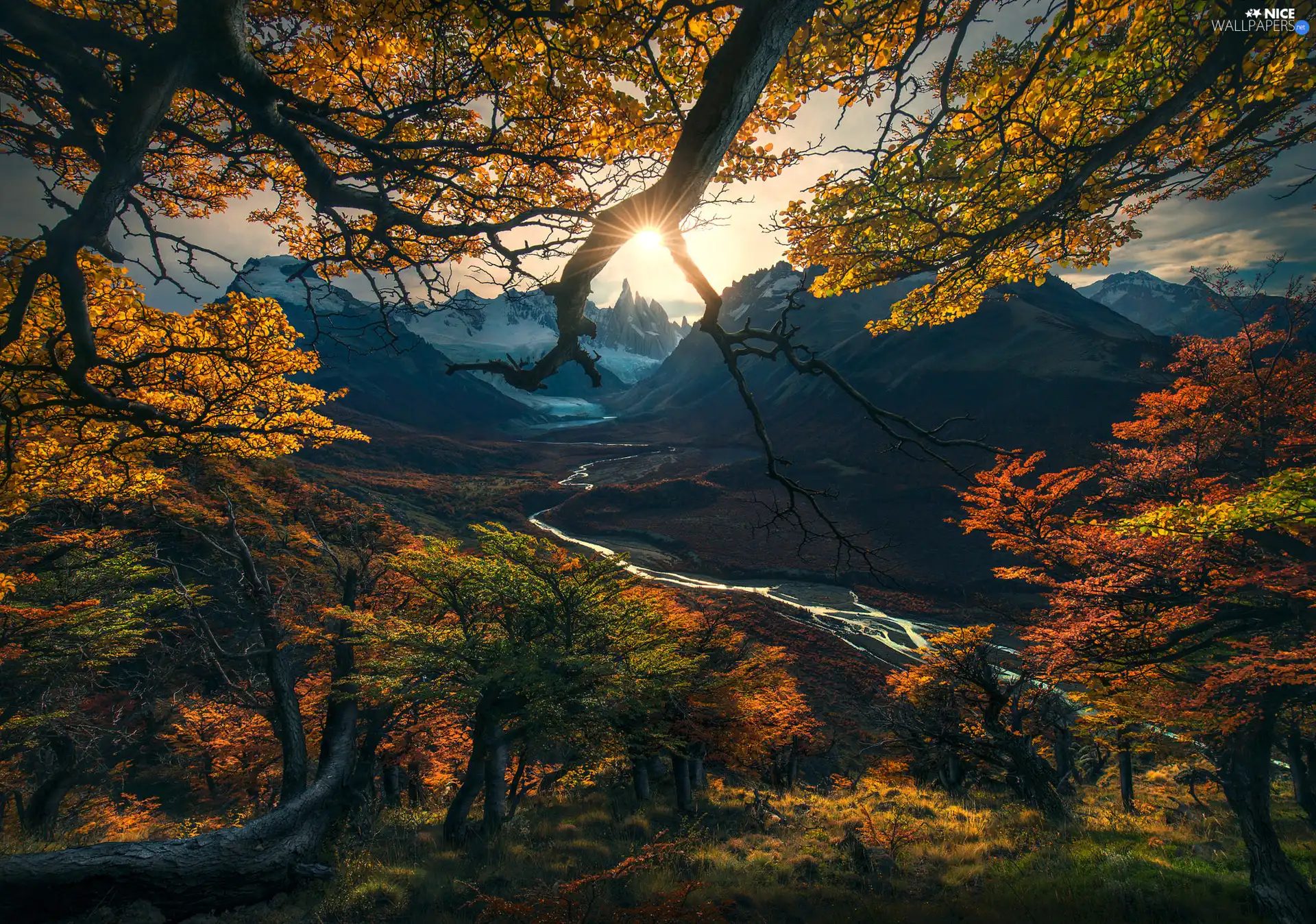 trees, Patagonia, autumn, River Rio de las Vueltas, Mountains, Argentina, Los Glaciares National Park, rays of the Sun, viewes, Fitz Roy Mountain