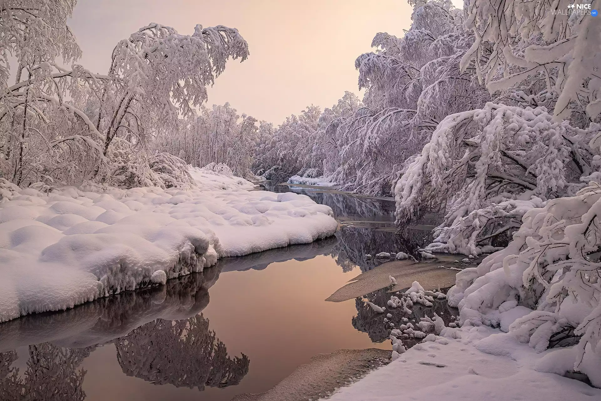trees, snow, Plants, River, winter, viewes, reflection
