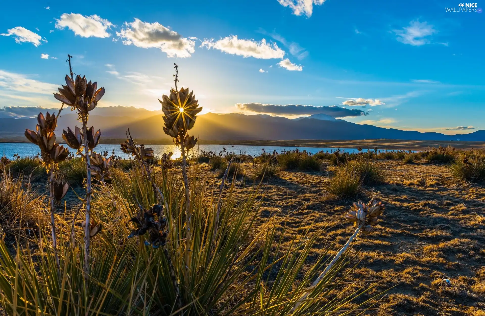 River, Plants, sun, Mountains, west